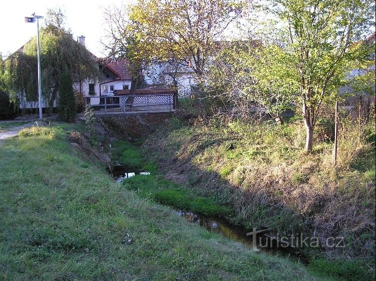 Blazický potok: Potok u Mrlíneku