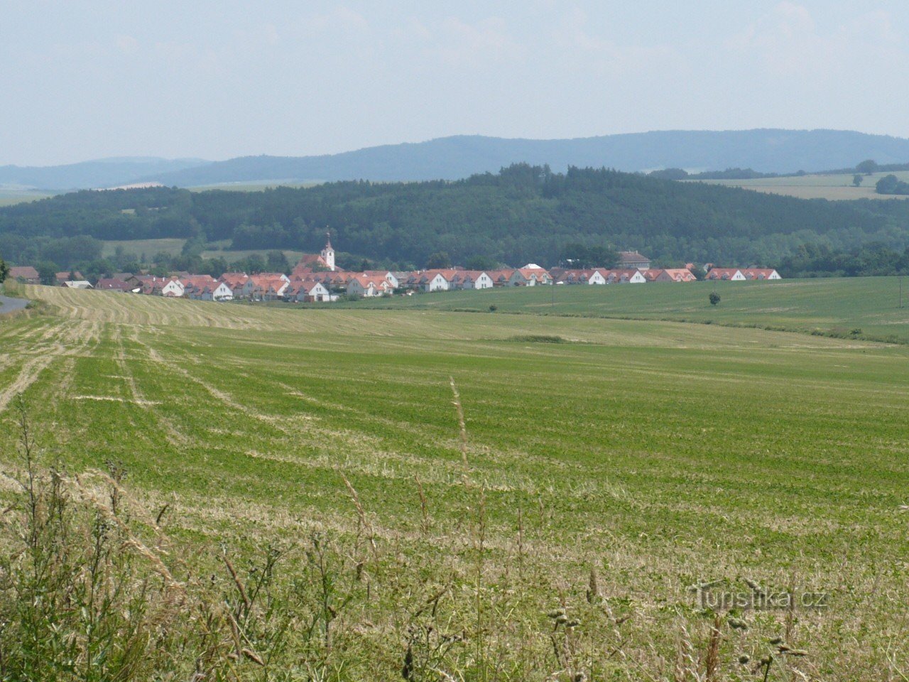 Blížejov med kyrkan St. Martin