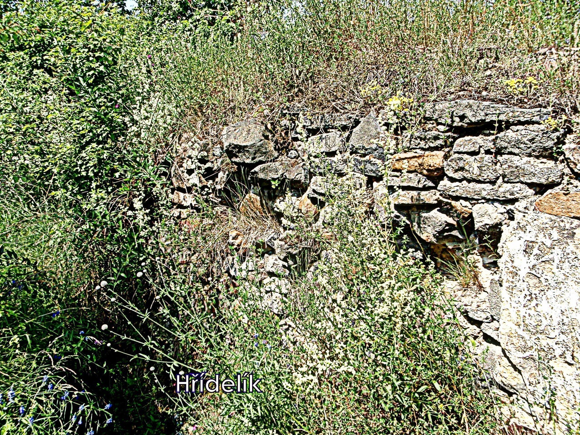 Blíževedly - de ruïnes van Hřídelík Castle