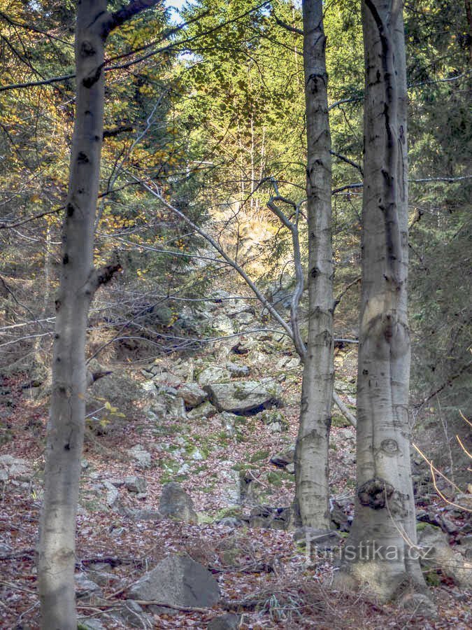 La croix des frères et sœurs est cachée au-dessus de la source