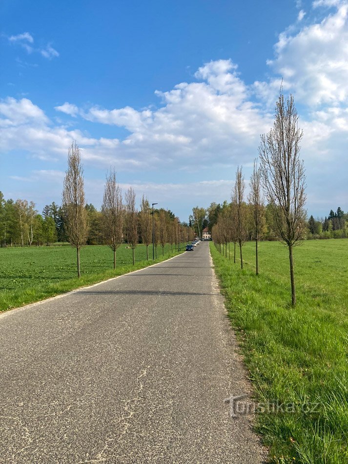 Bludov – Allée Zdeňka Pospíšila