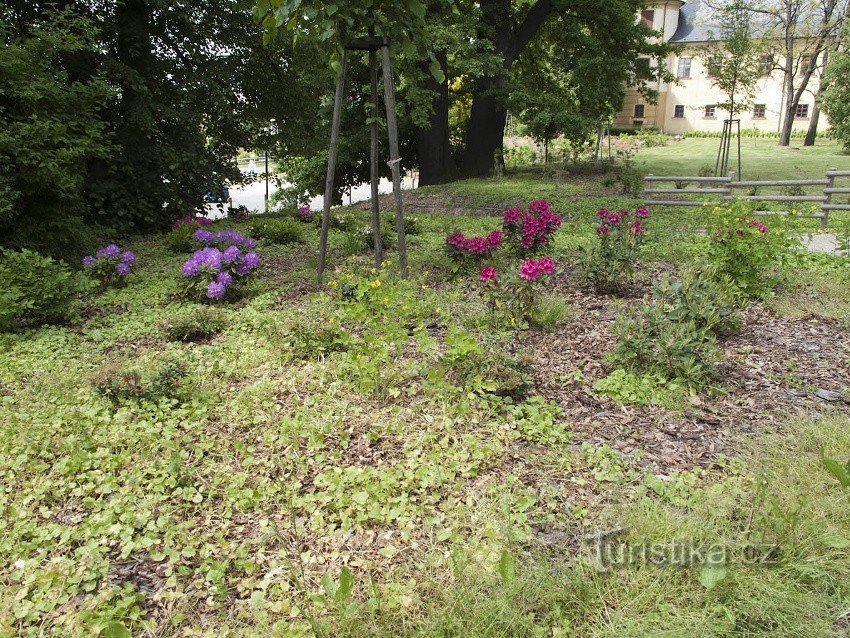 Bludov - grajski park