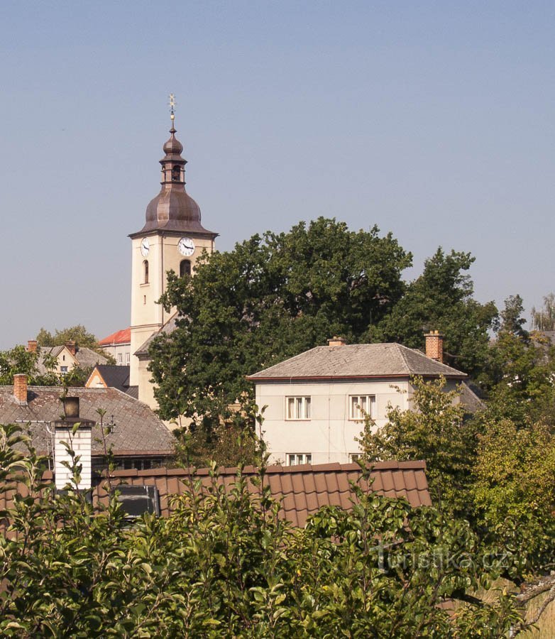 Bludov – stejar Žerotín