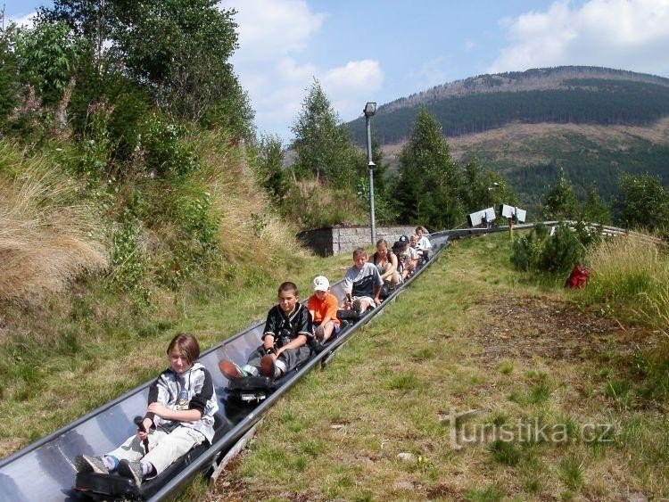 Bobsleigh