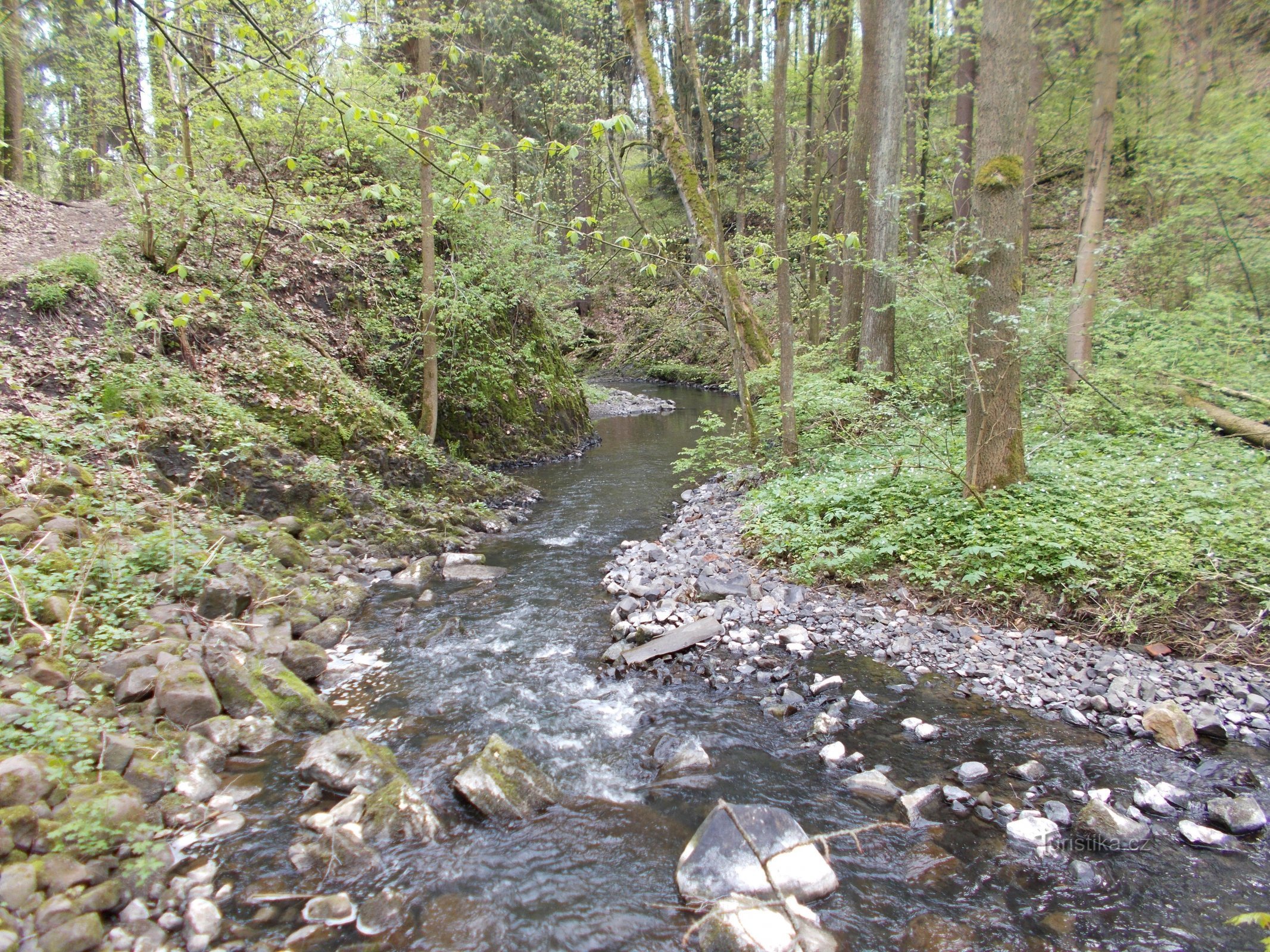 Ruisseau du castor