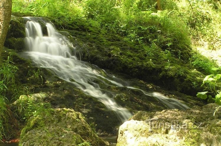 Biberschlucht