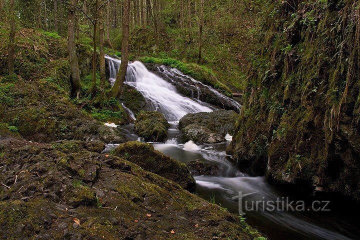 Beaver Gorge