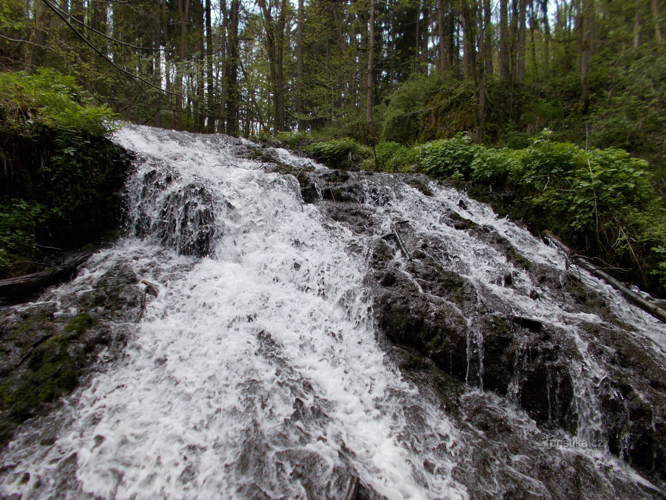 Cascada de castor