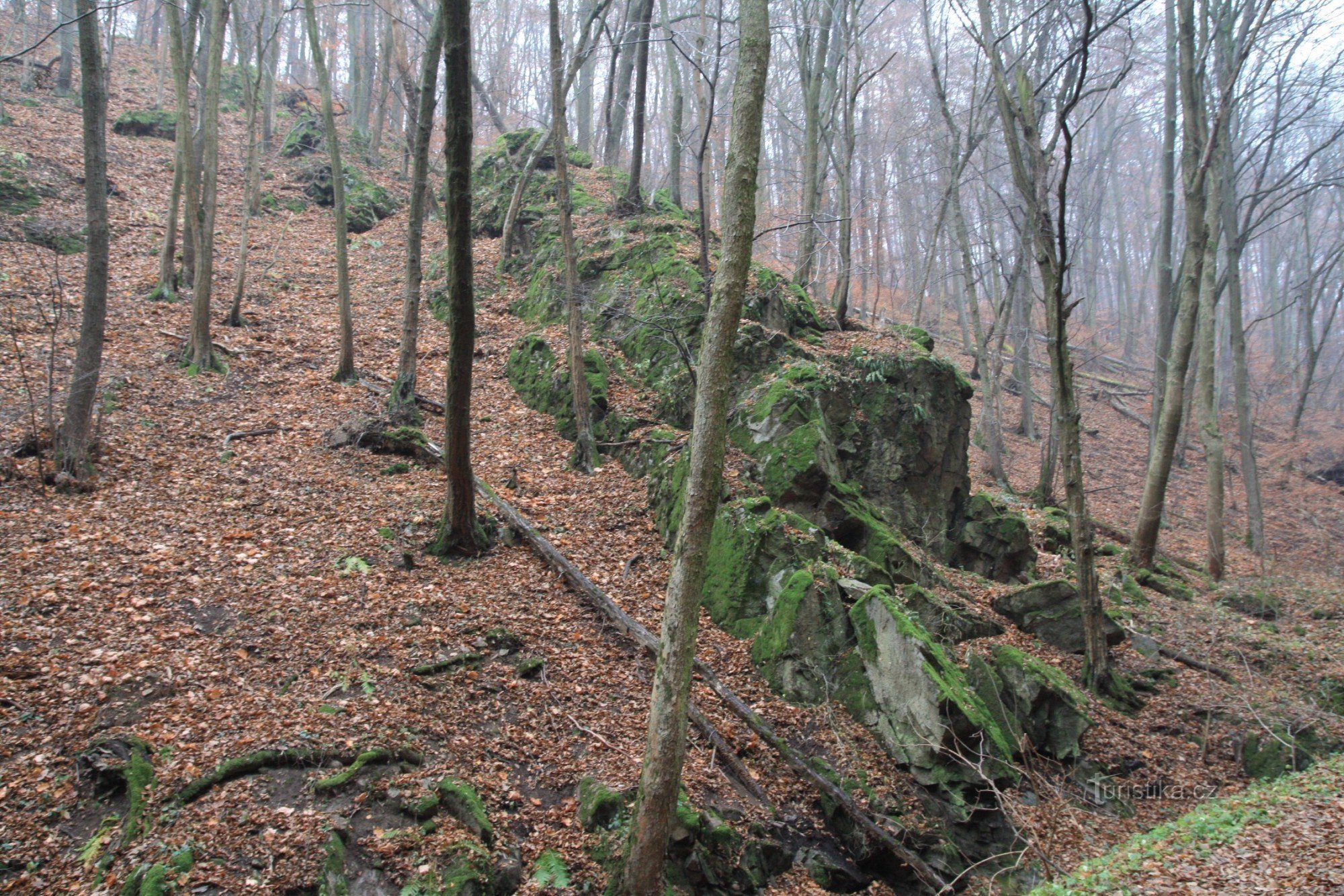 Skalista boczna dolina potoku Malužín