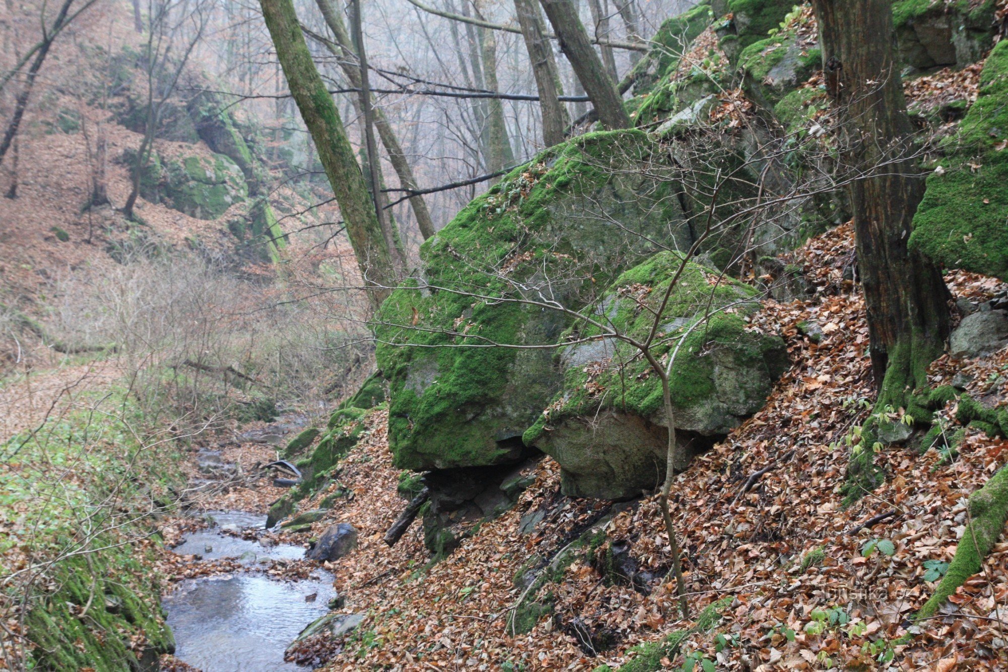 ウーチェホフスケ川の横の岩の谷