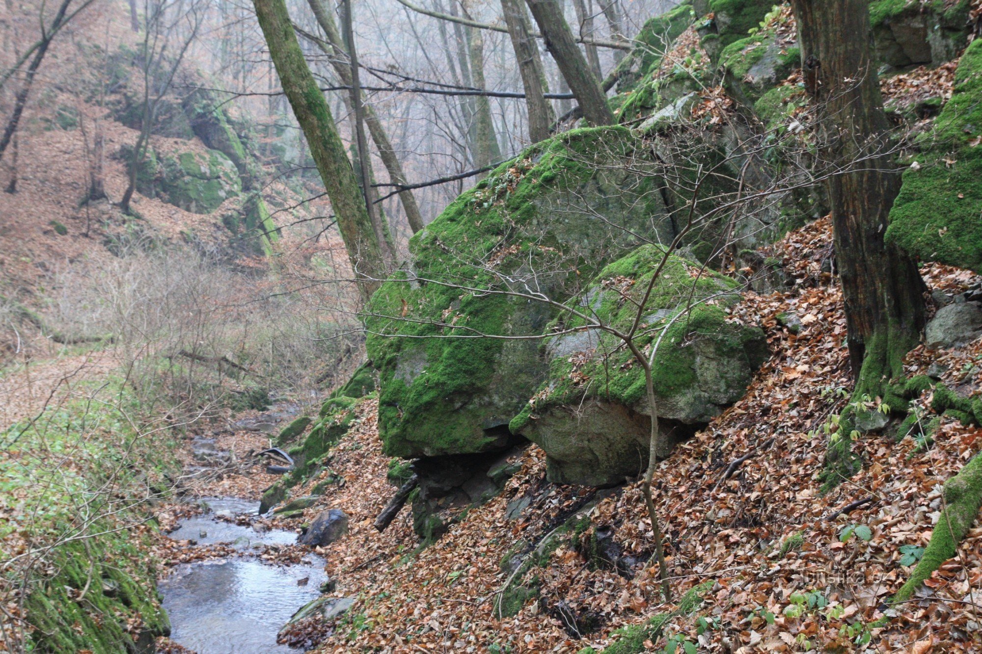 Valle rocoso lateral del arroyo Útěchovské