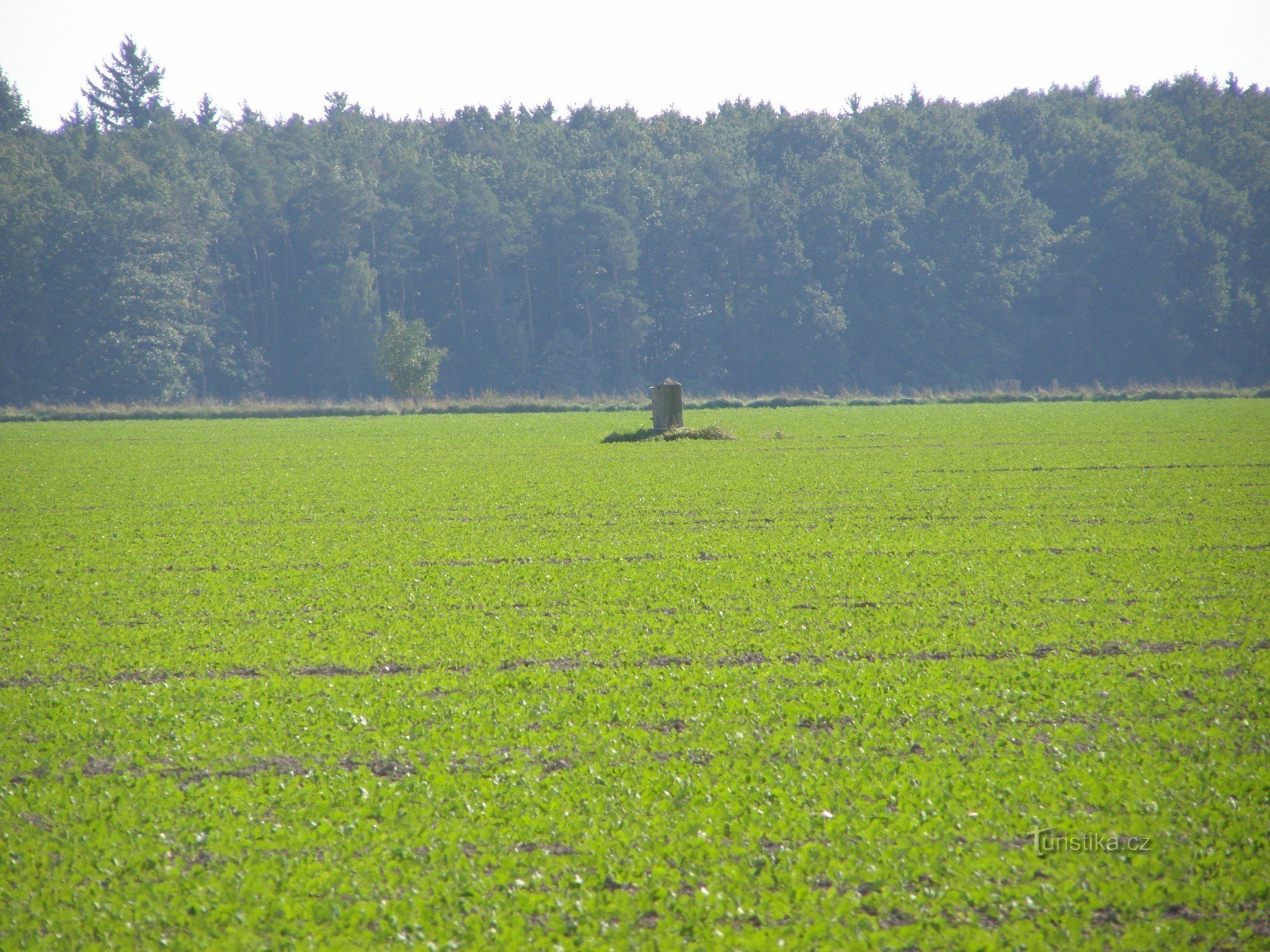 Point de triangulation militaire de 1862 à 98 près de Rasošek