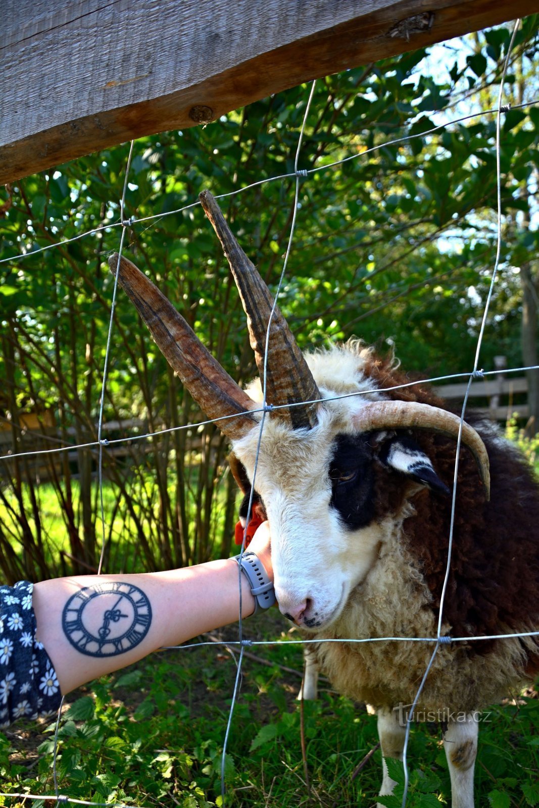 Bohatice - na zmrzku a za zvířátky