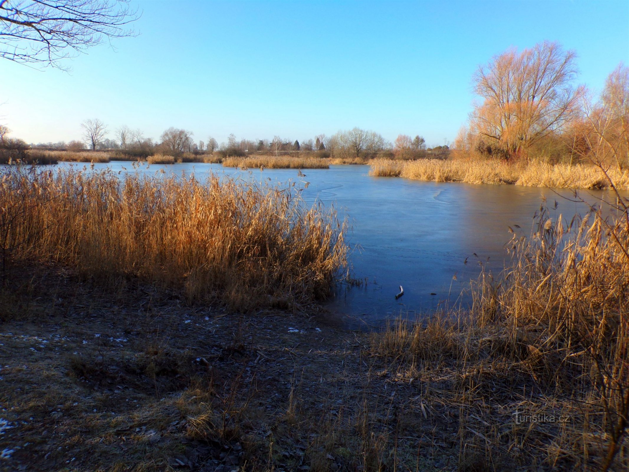 Bohdanecký dam (Hradec Králové, 11.1.2022. februar XNUMX)