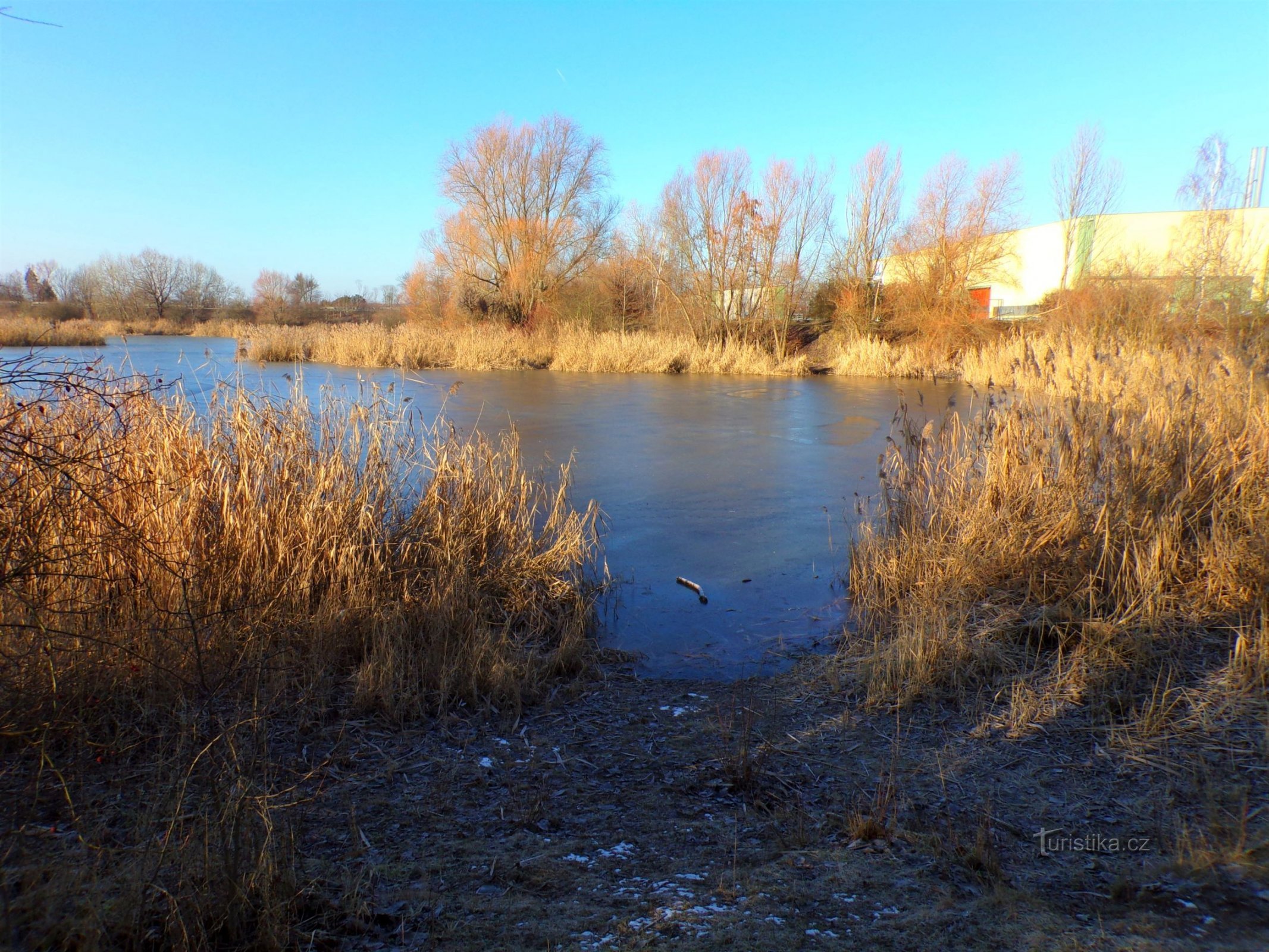 Bohdanecký-vijver (Hradec Králové, 11.1.2022 februari XNUMX)