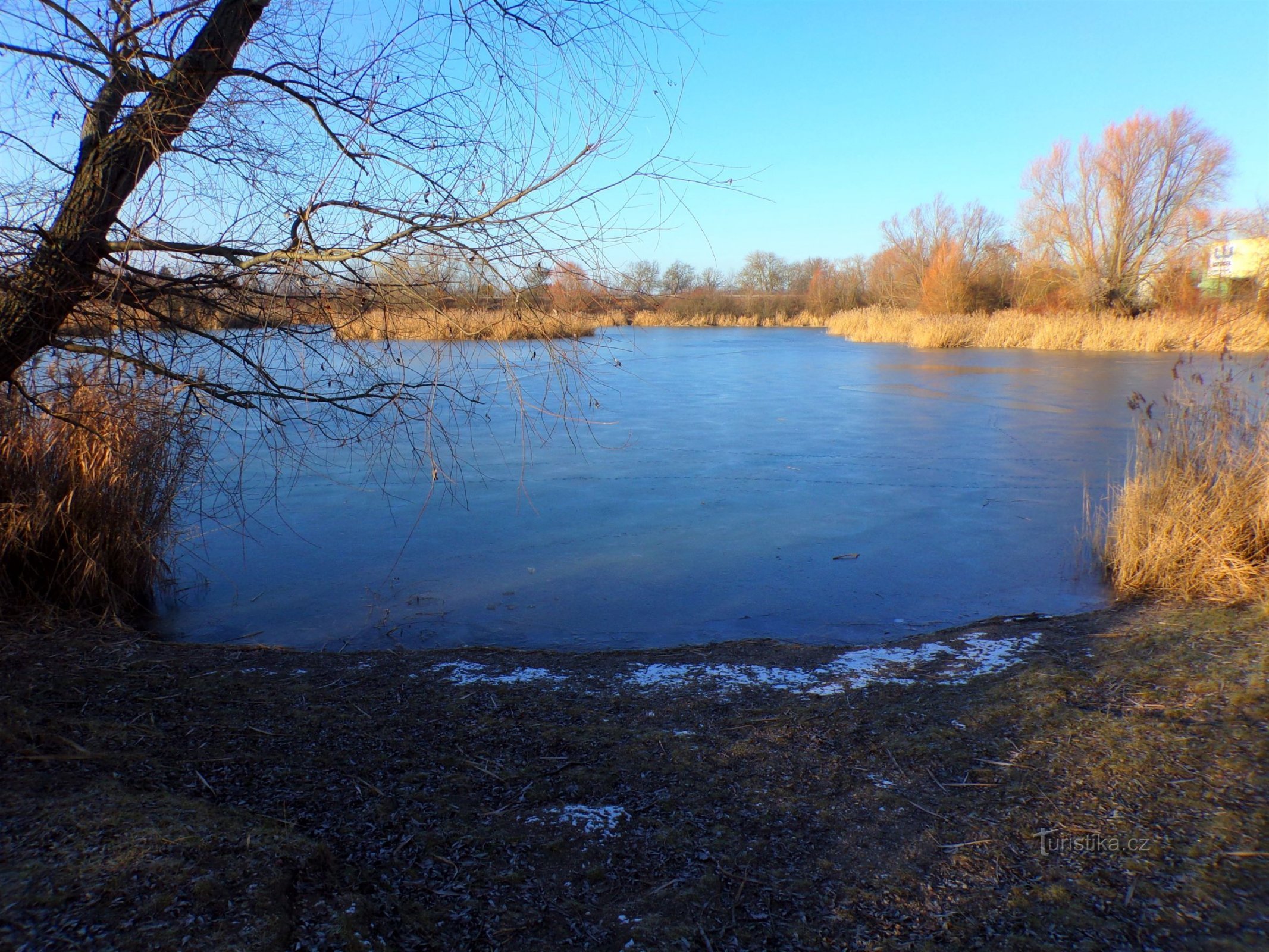 Estanque de Bohdanecký (Hradec Králové, 11.1.2022 de febrero de XNUMX)