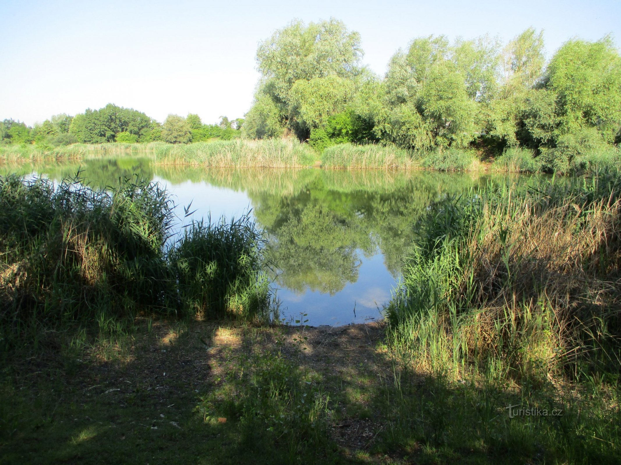 Bohdanecký-vijver (Hradec Králové, 27.6.2020 februari XNUMX)