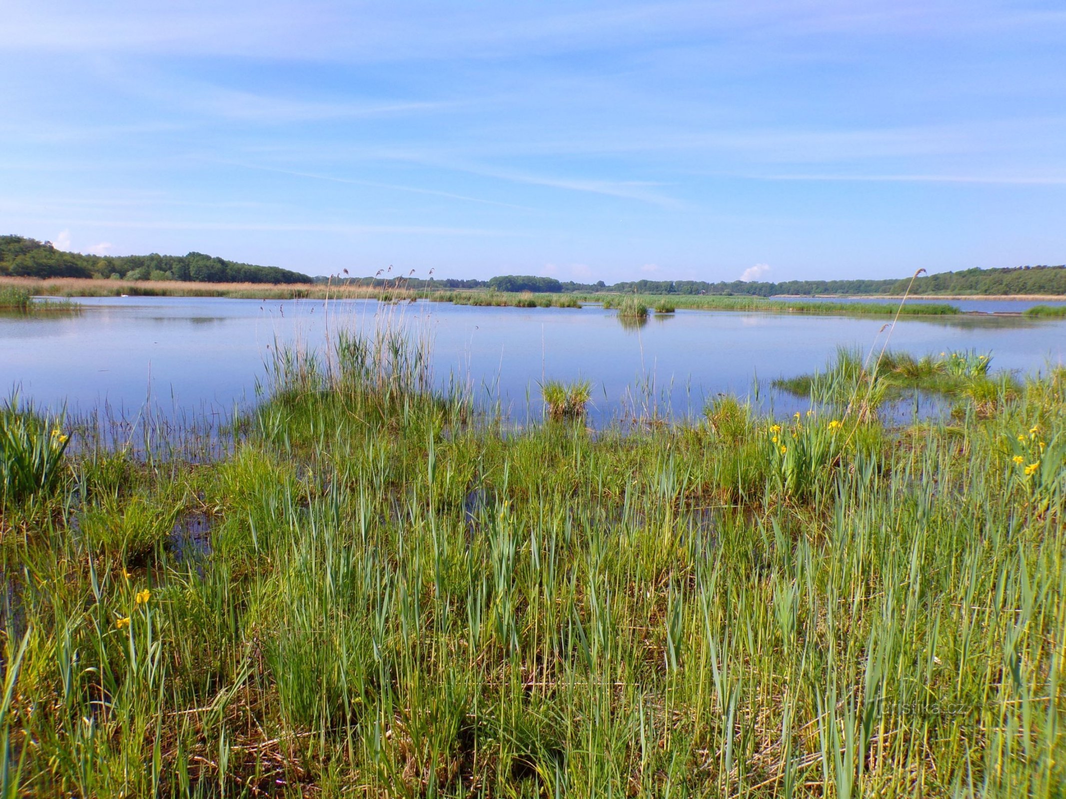 Bohdaneč-vijver (Bohdaneč-kuuroord, 18.5.2022 mei XNUMX)