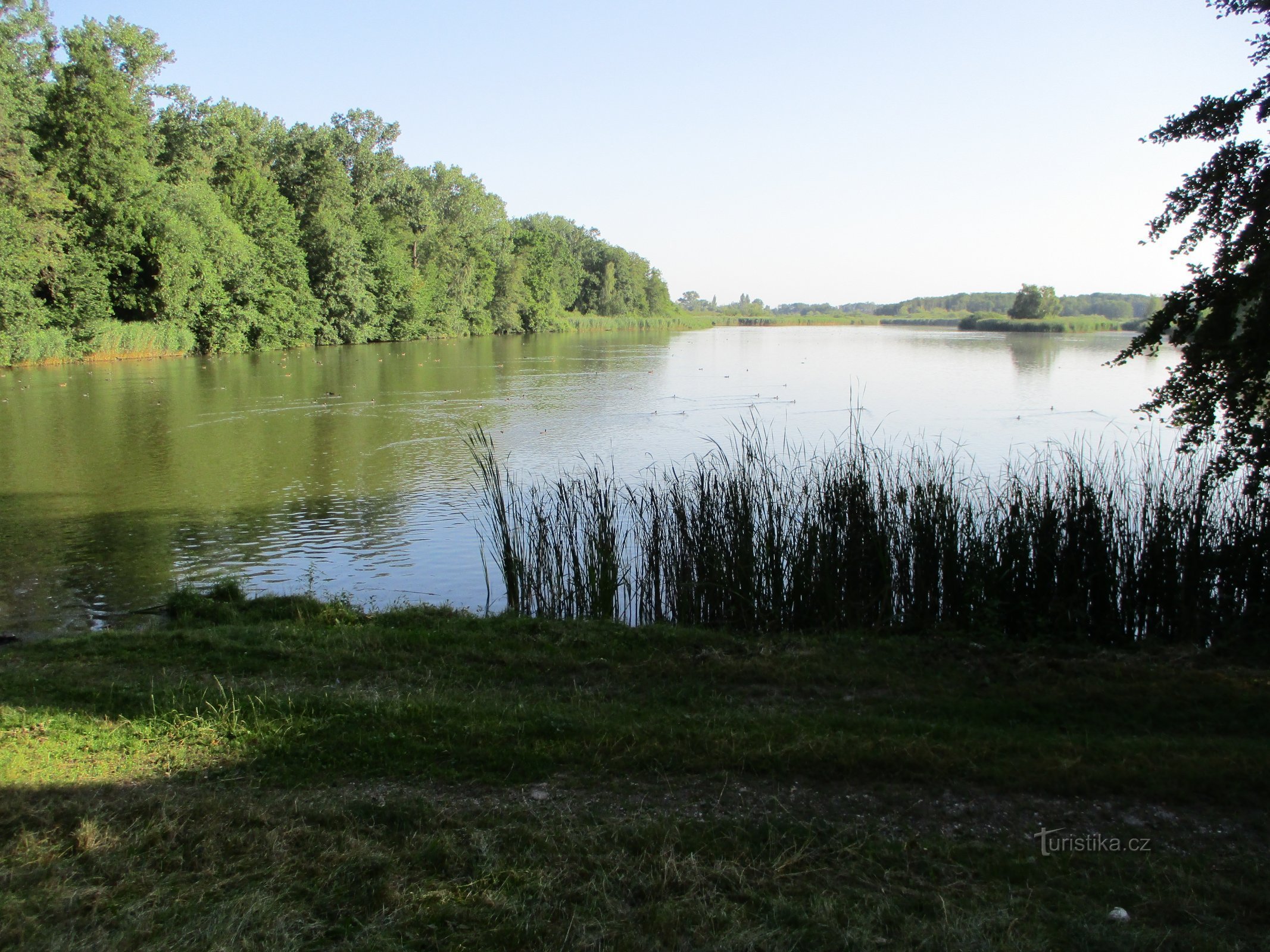 Bohdaneč-Teich (Bad Bohdaneč)