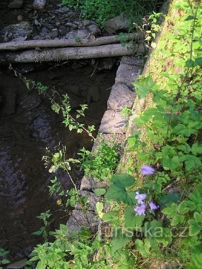 Ruisseau Bohdašinský - détail
