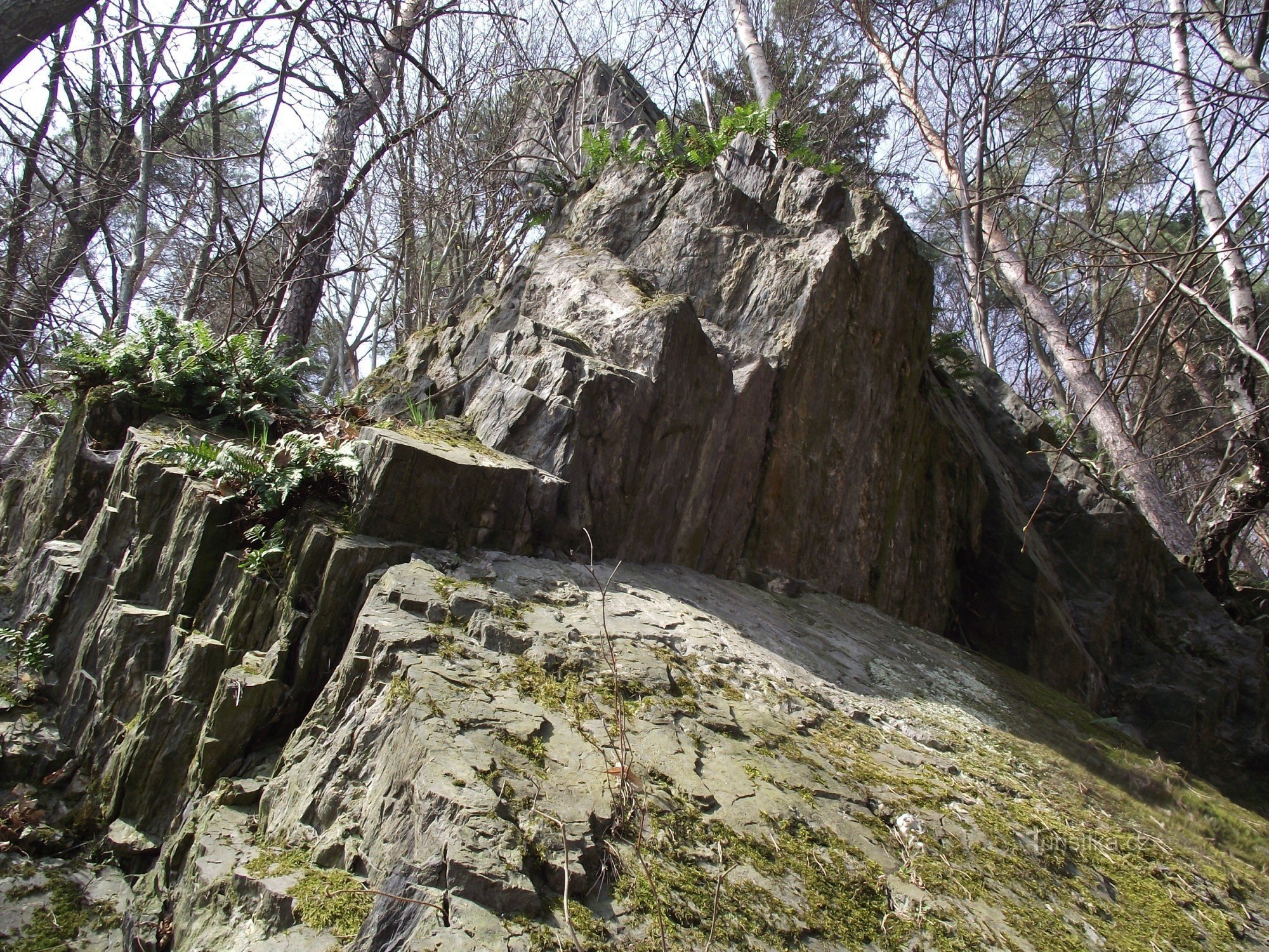 Bohdík-Felsen