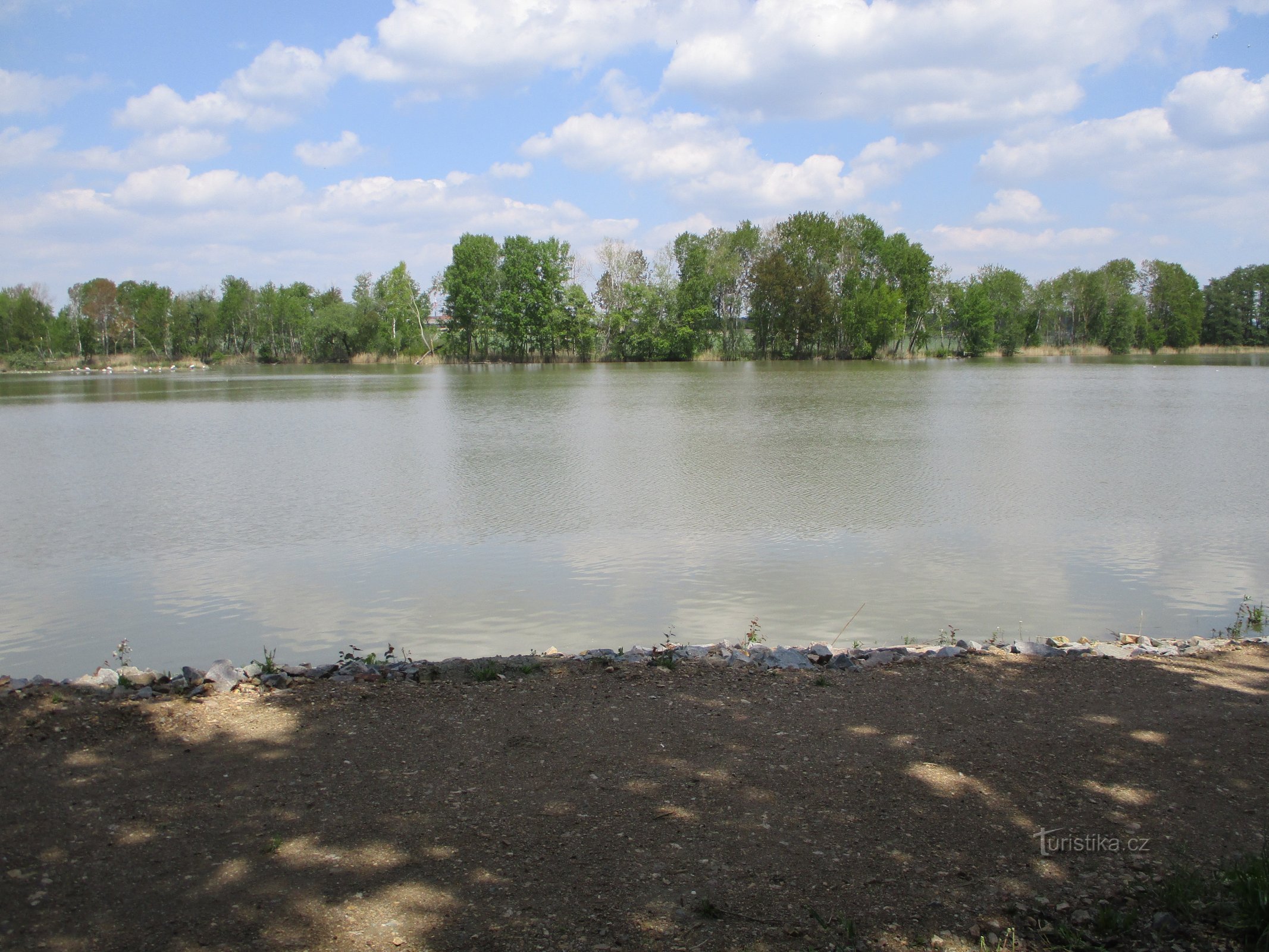 Bohumileč Pond (16.5.2020. maj XNUMX)