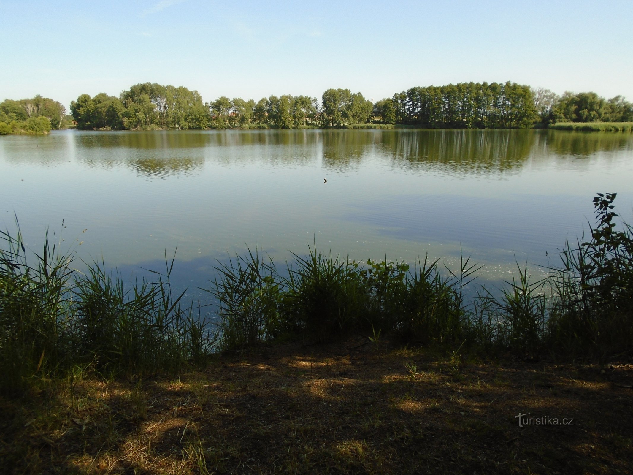 Bohumileč dam (Bohumileč)