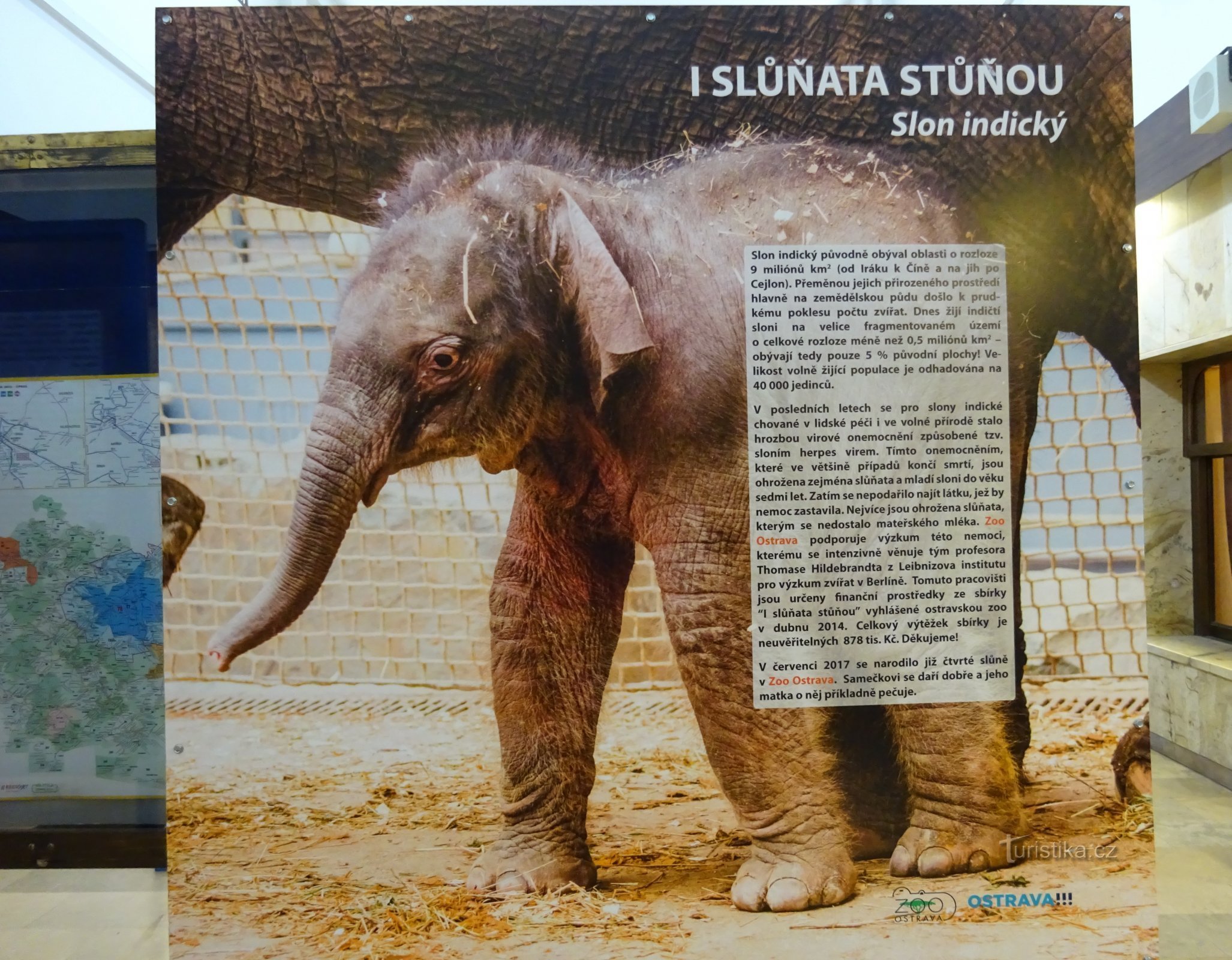 Bohumín - railway station - photo exhibition