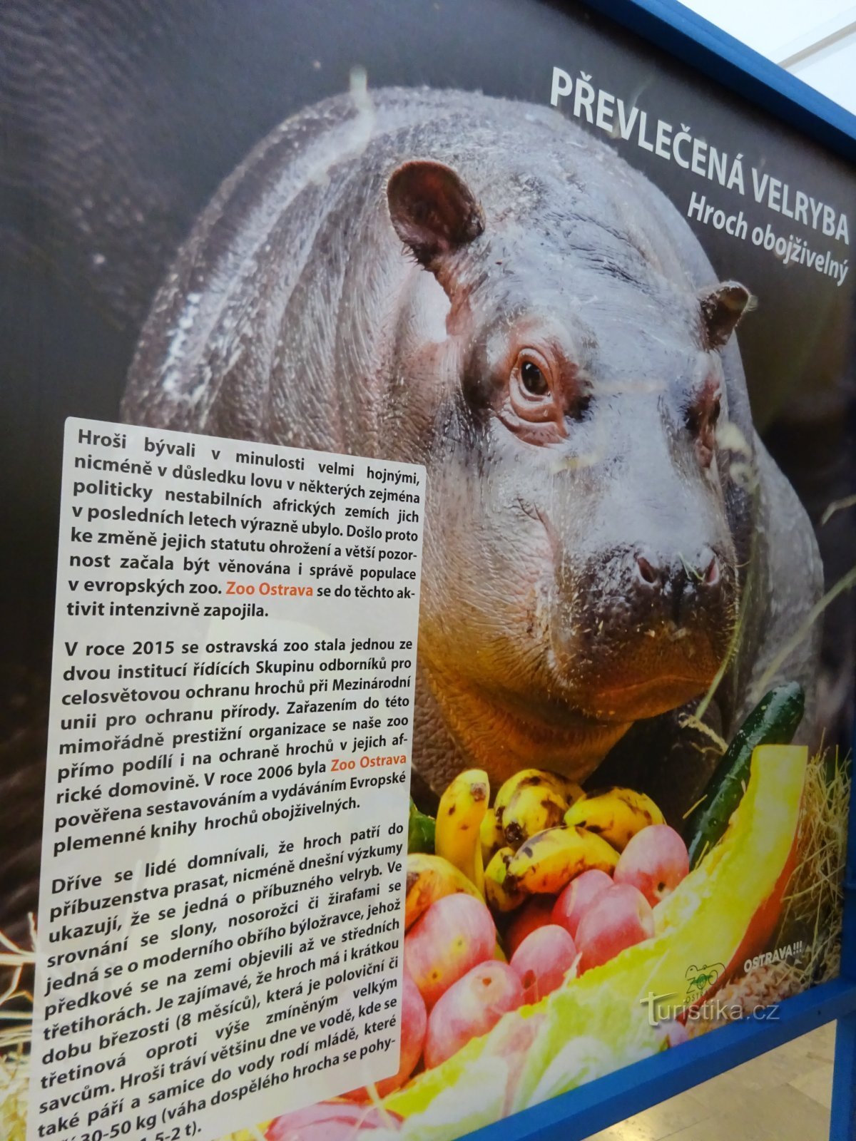 Bohumín - railway station - photo exhibition