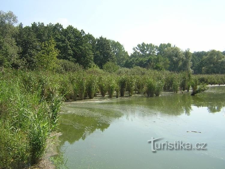 Bohumín - Nový stav: Bohumín - Nový stav