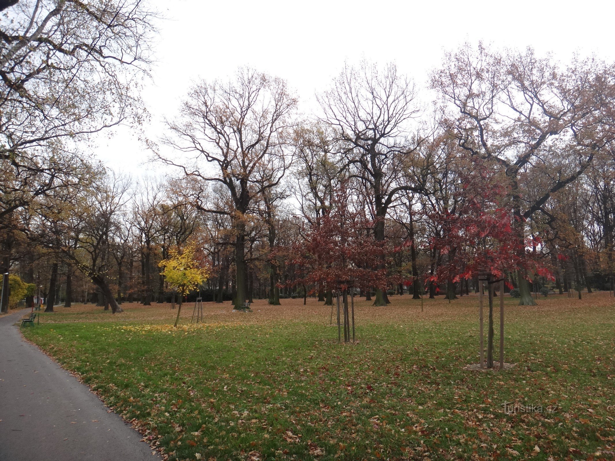 Parque Bohumín