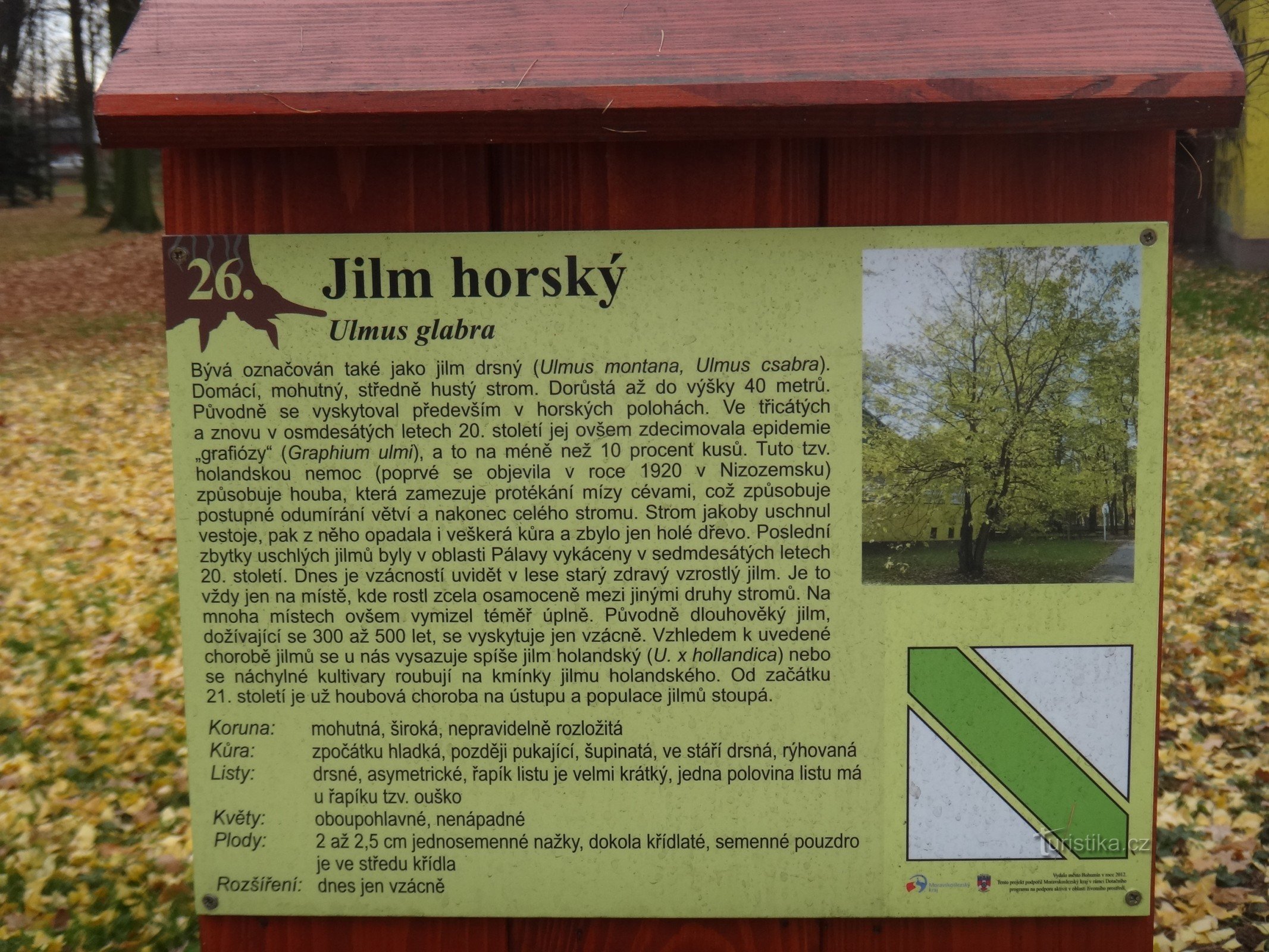 Parque Bohumín etiquetas para el árbol