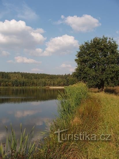 Bohušovský-vijver: Uitzicht op de Bohušovský-vijver