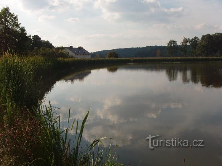 Estanque de Bohušovský: Vista del estanque y los edificios de Bohušovský