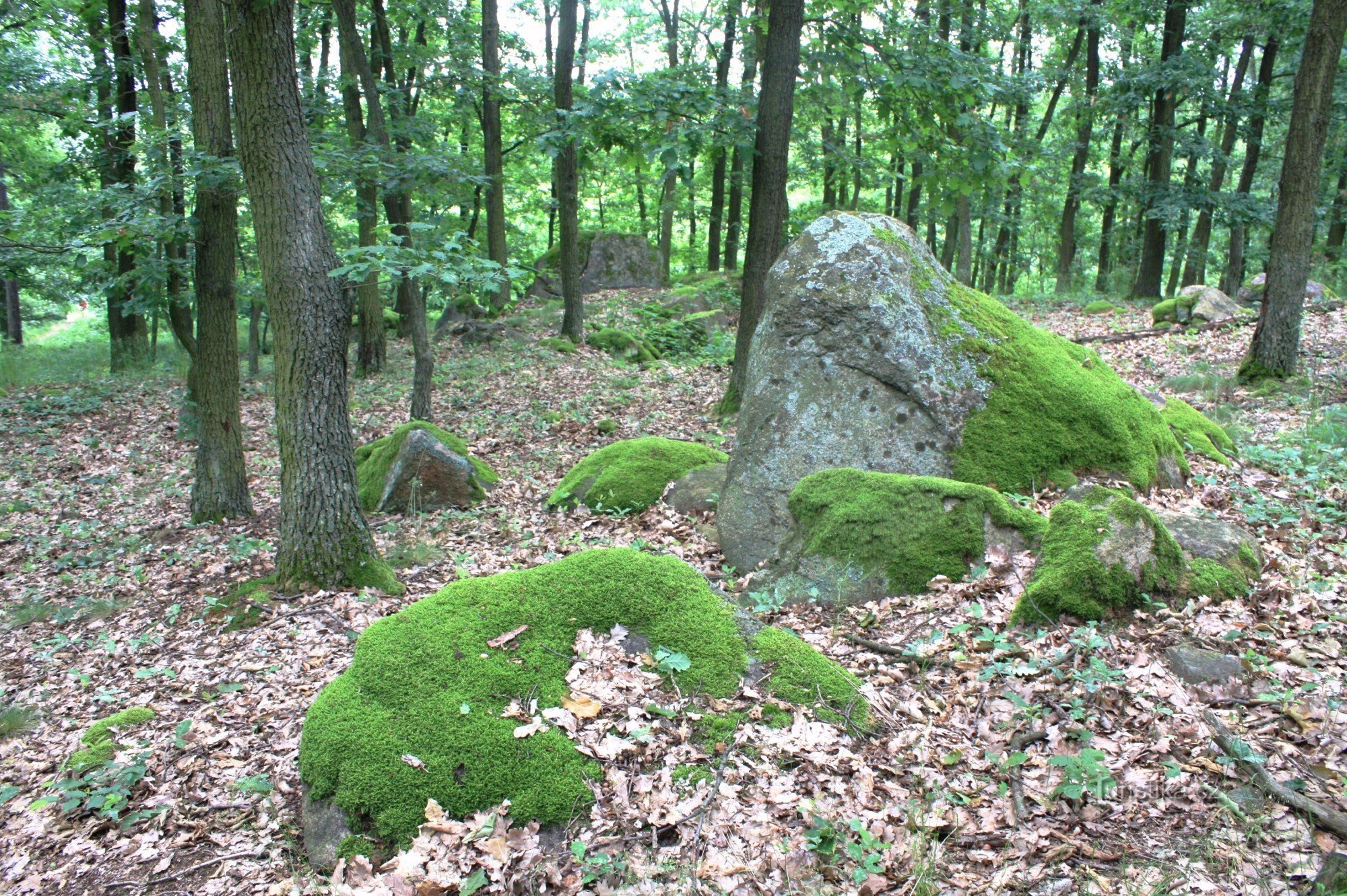 Rochers de Bohutice