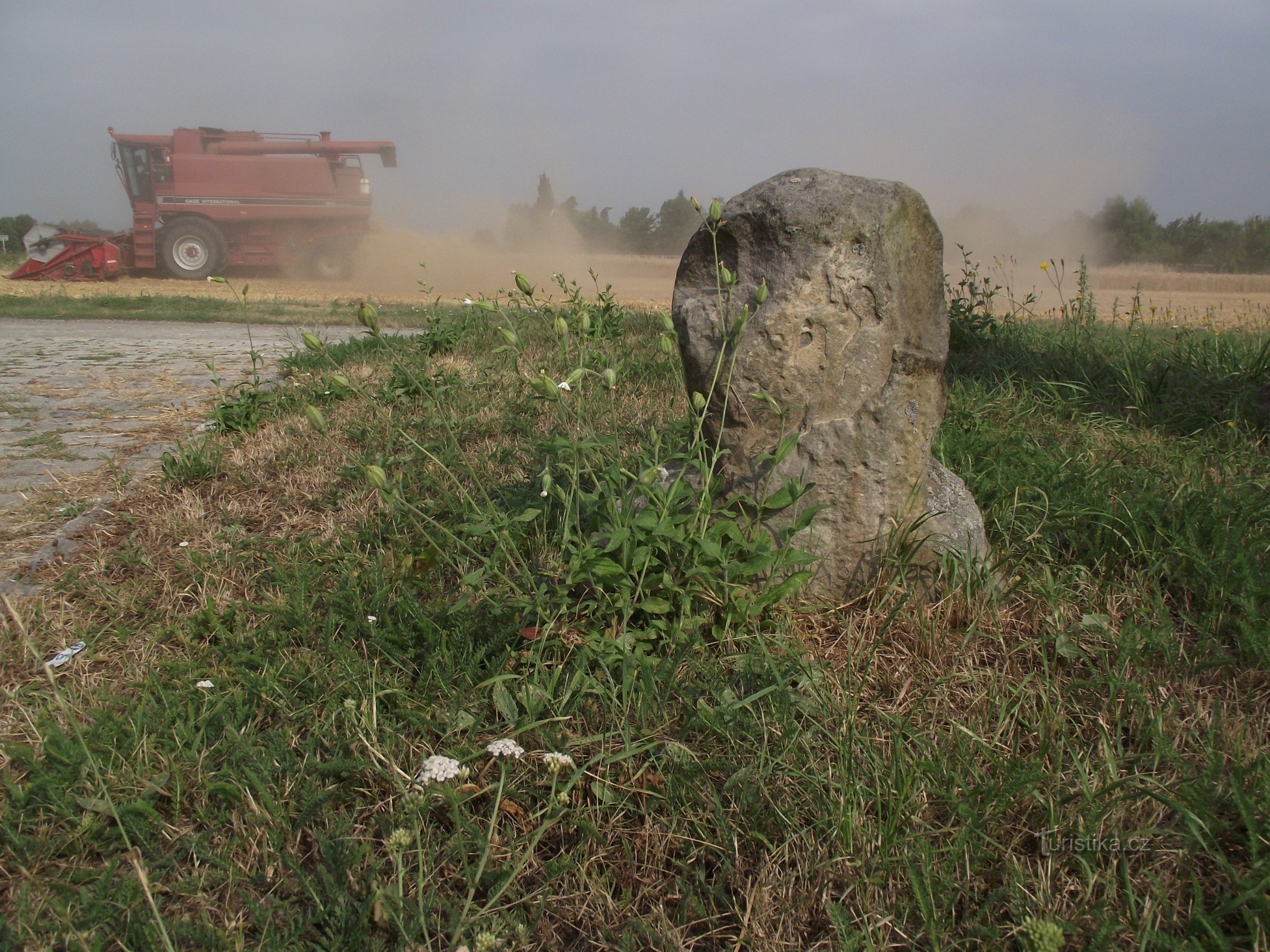 la battaglia per il grano è iniziata...