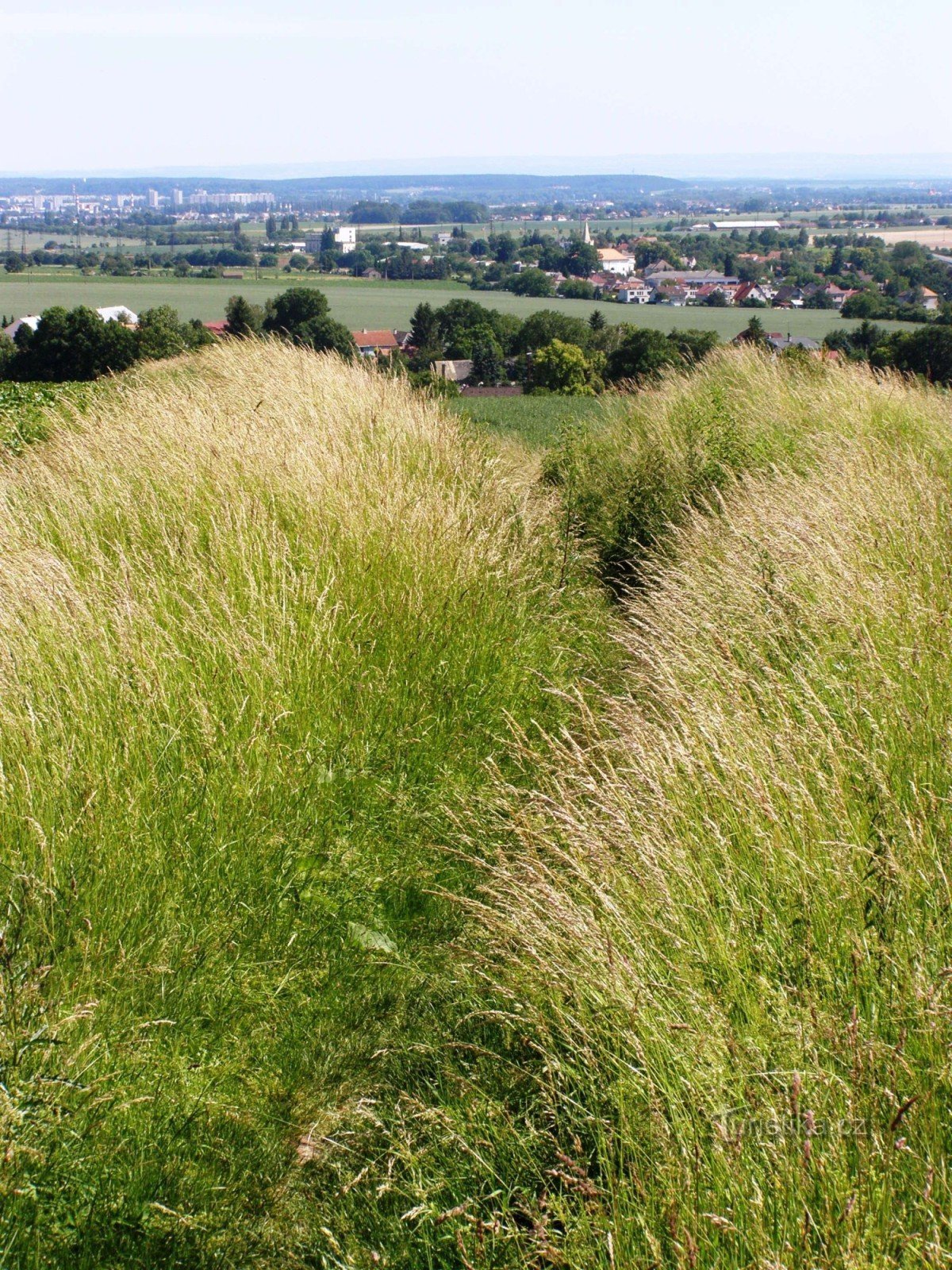 Battlefield on Chlum - verwijdering van de doden