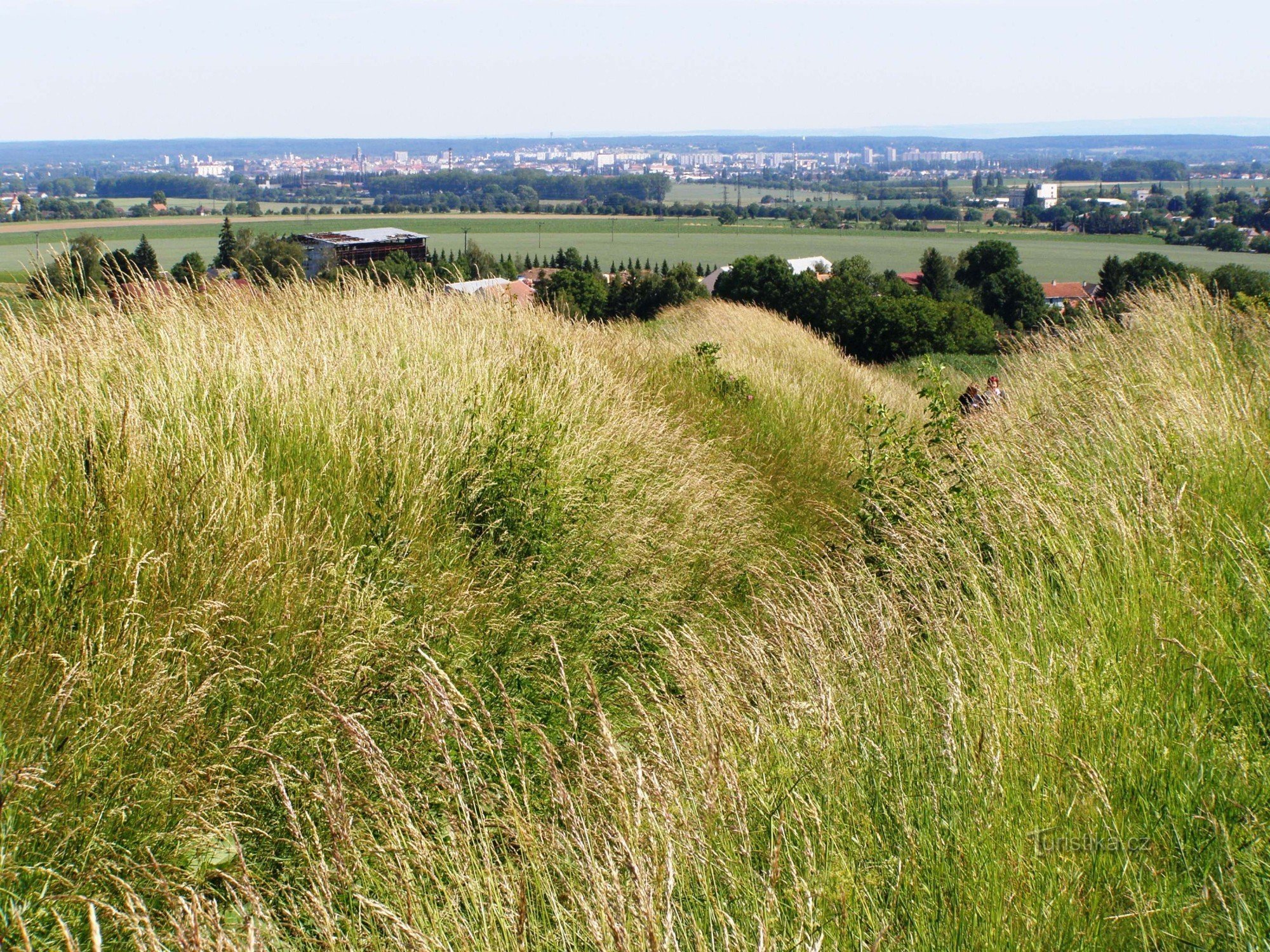 Battlefield on Chlum - verwijdering van de doden