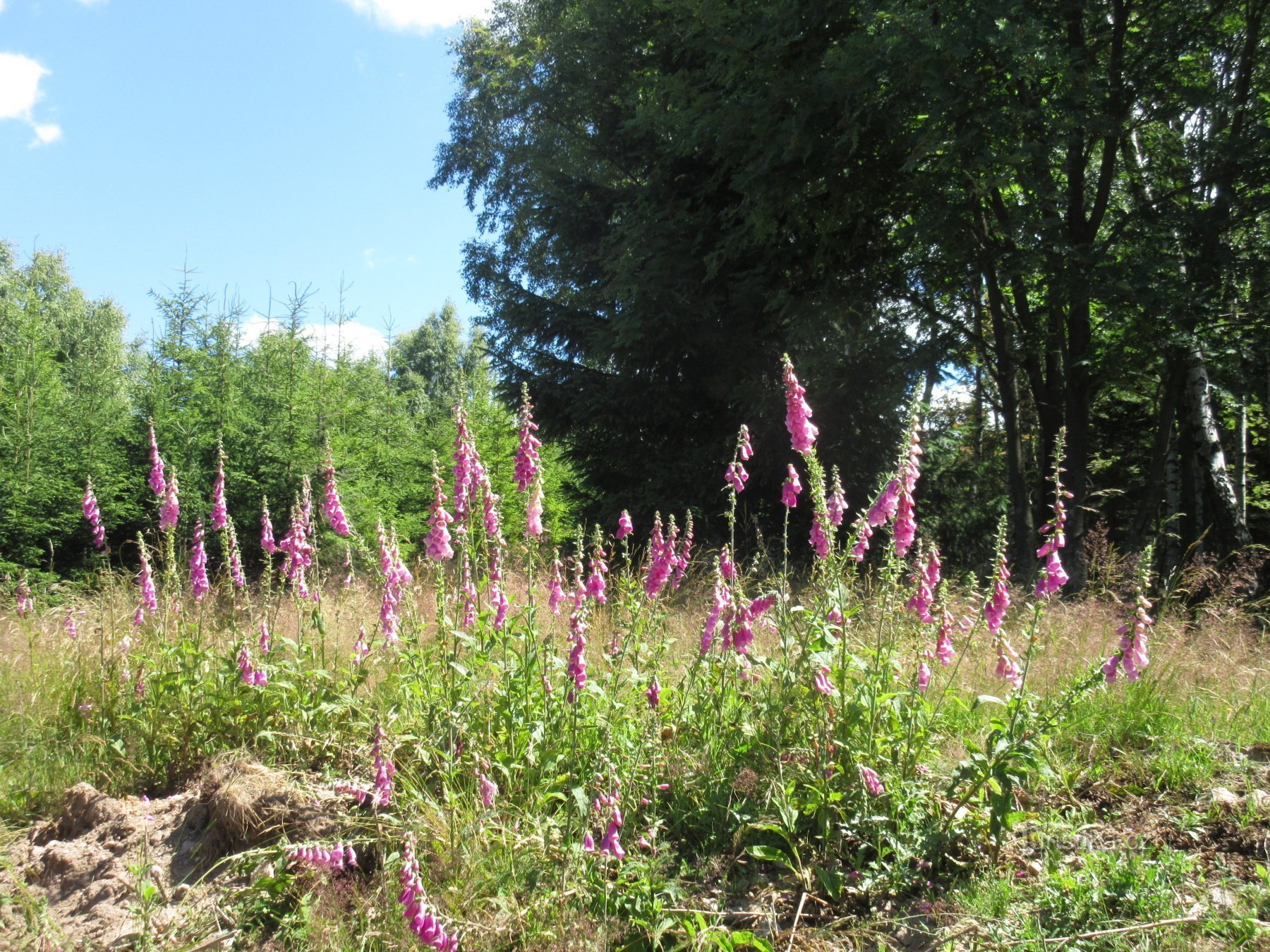 Boleboř - Helenčina watervallen