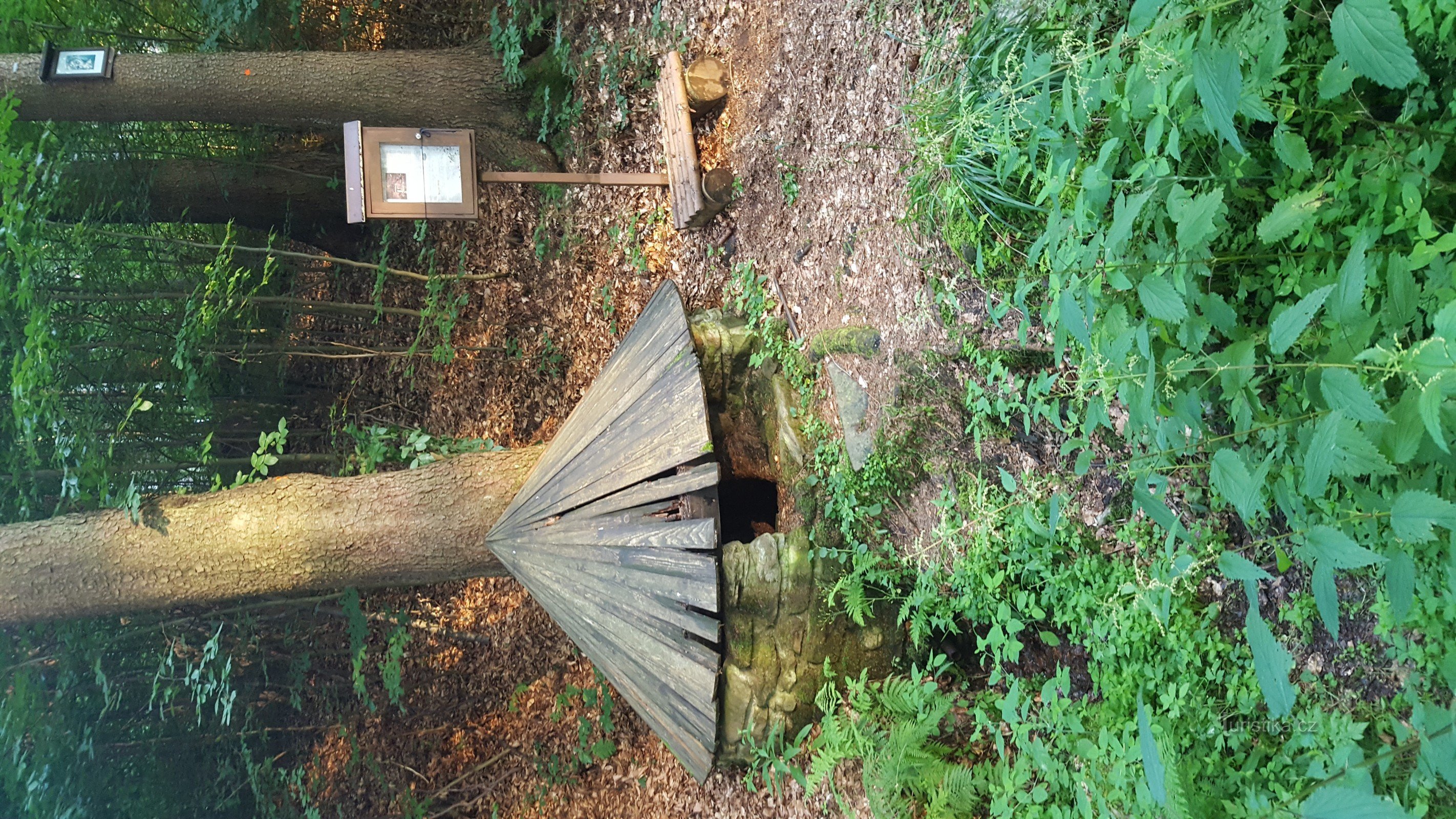 Bolzano's well