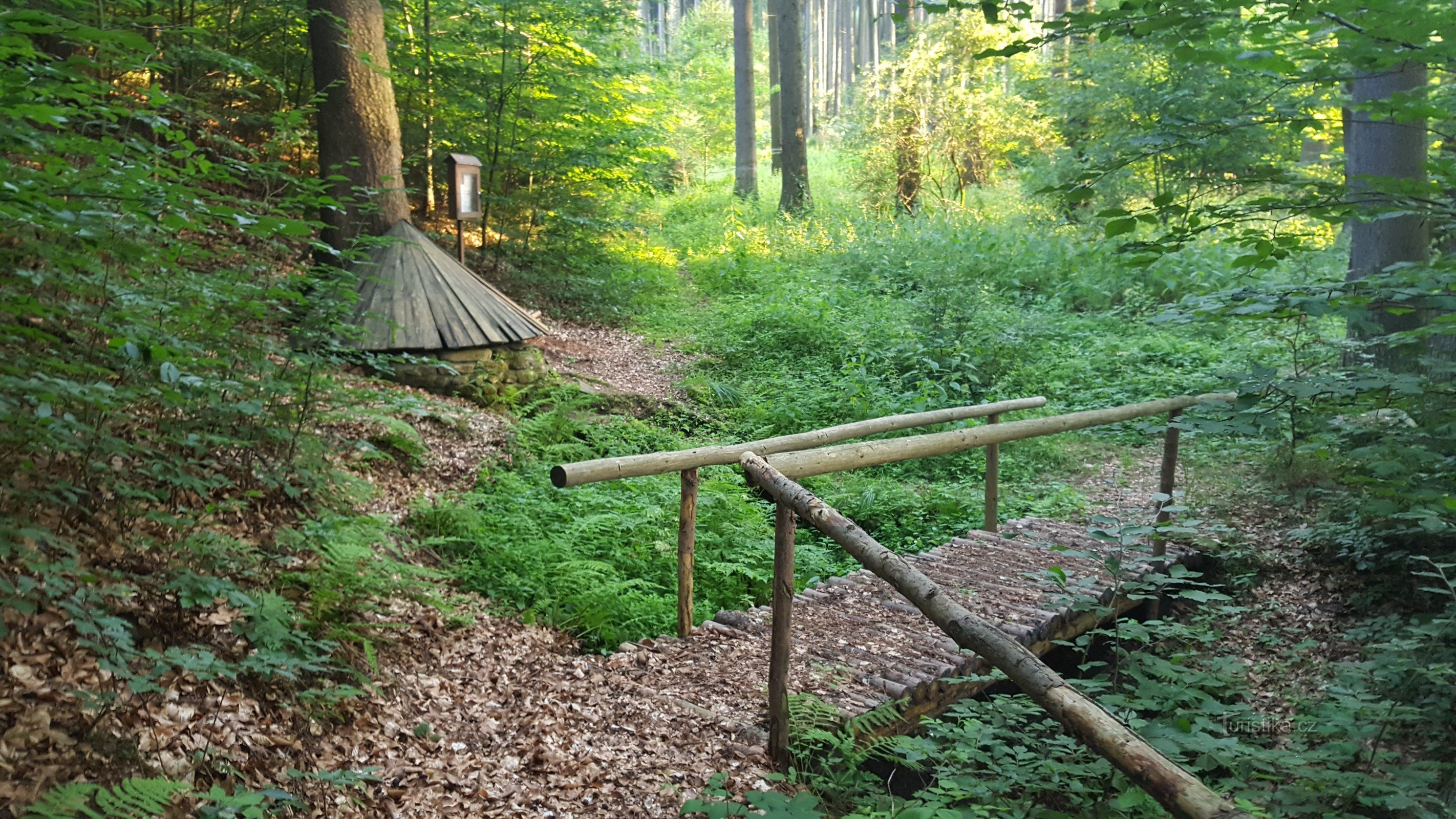 Bolzano's well