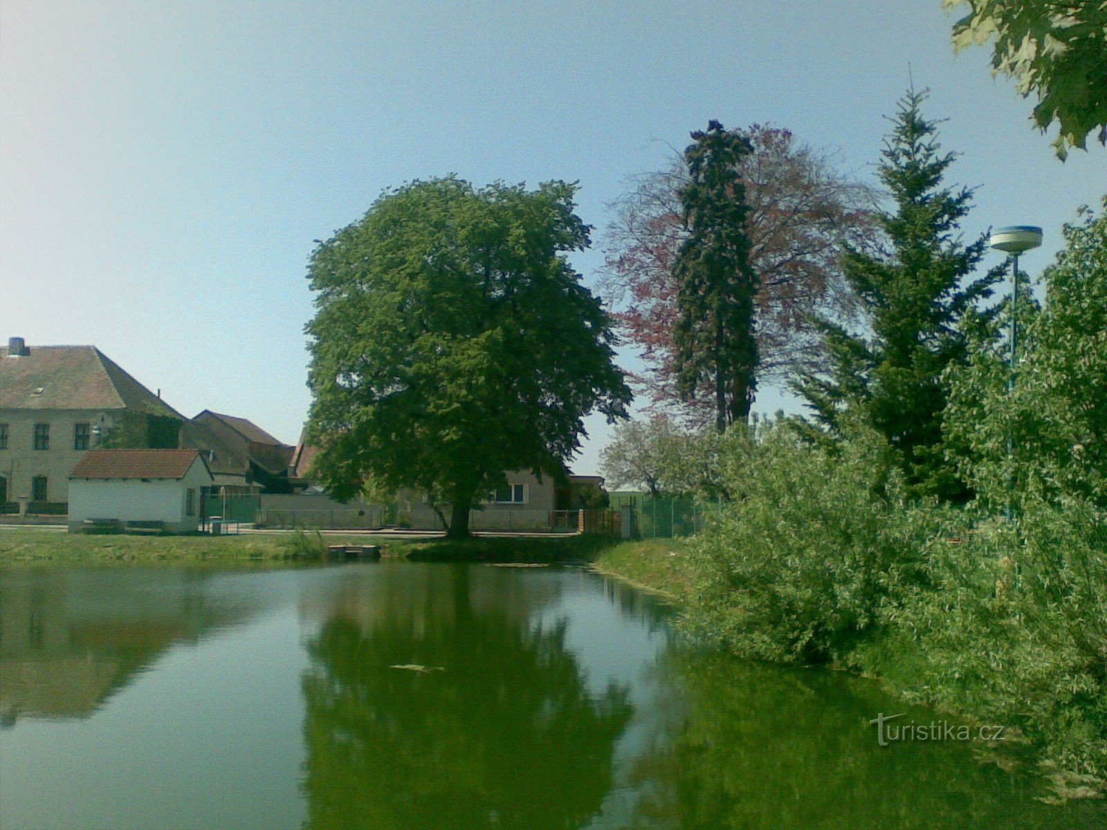 Floresta perto de Chroustovice