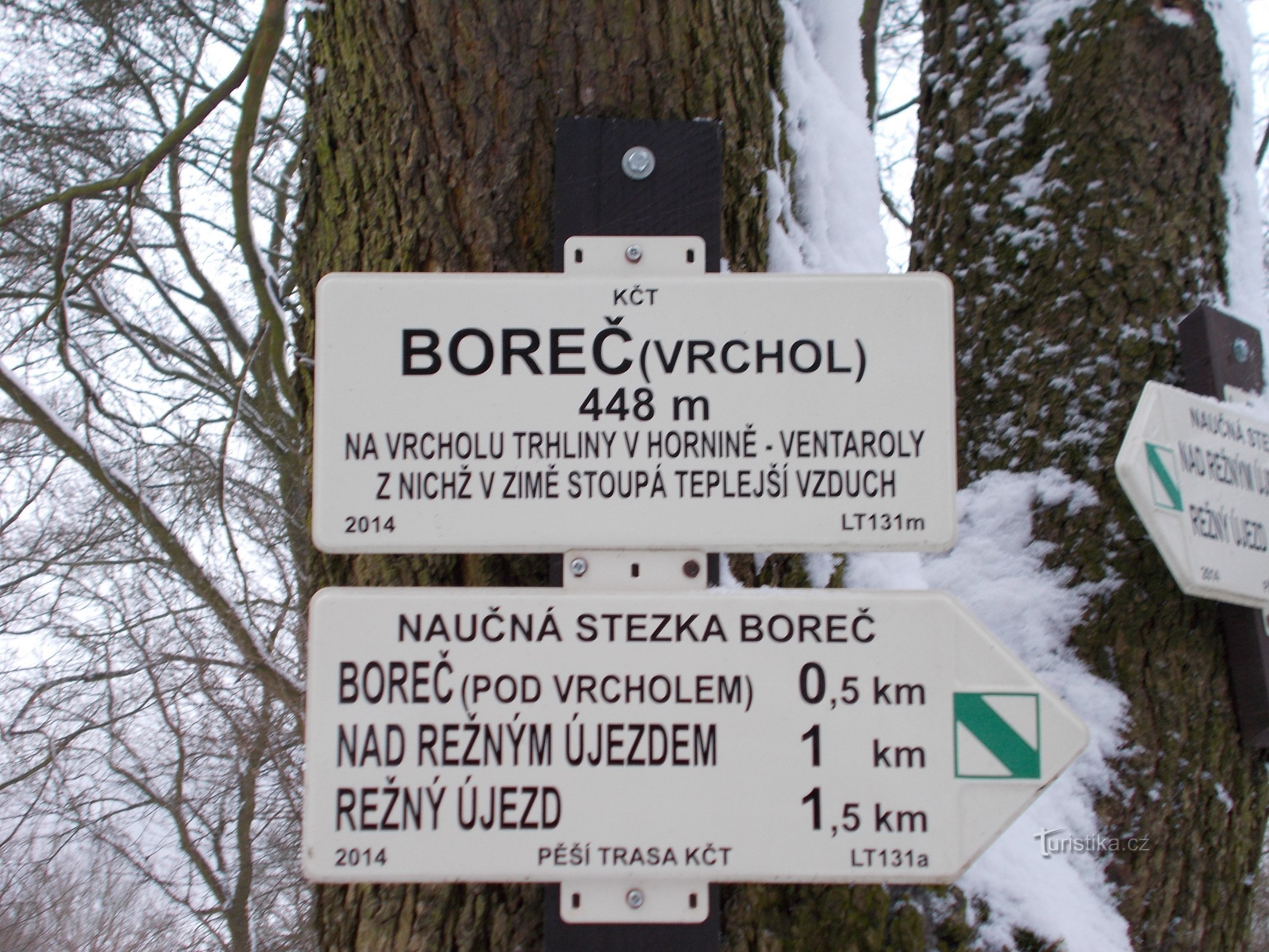 Borec