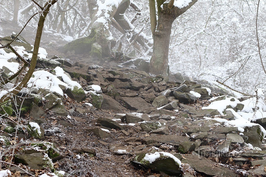 Boreč - colline fumante