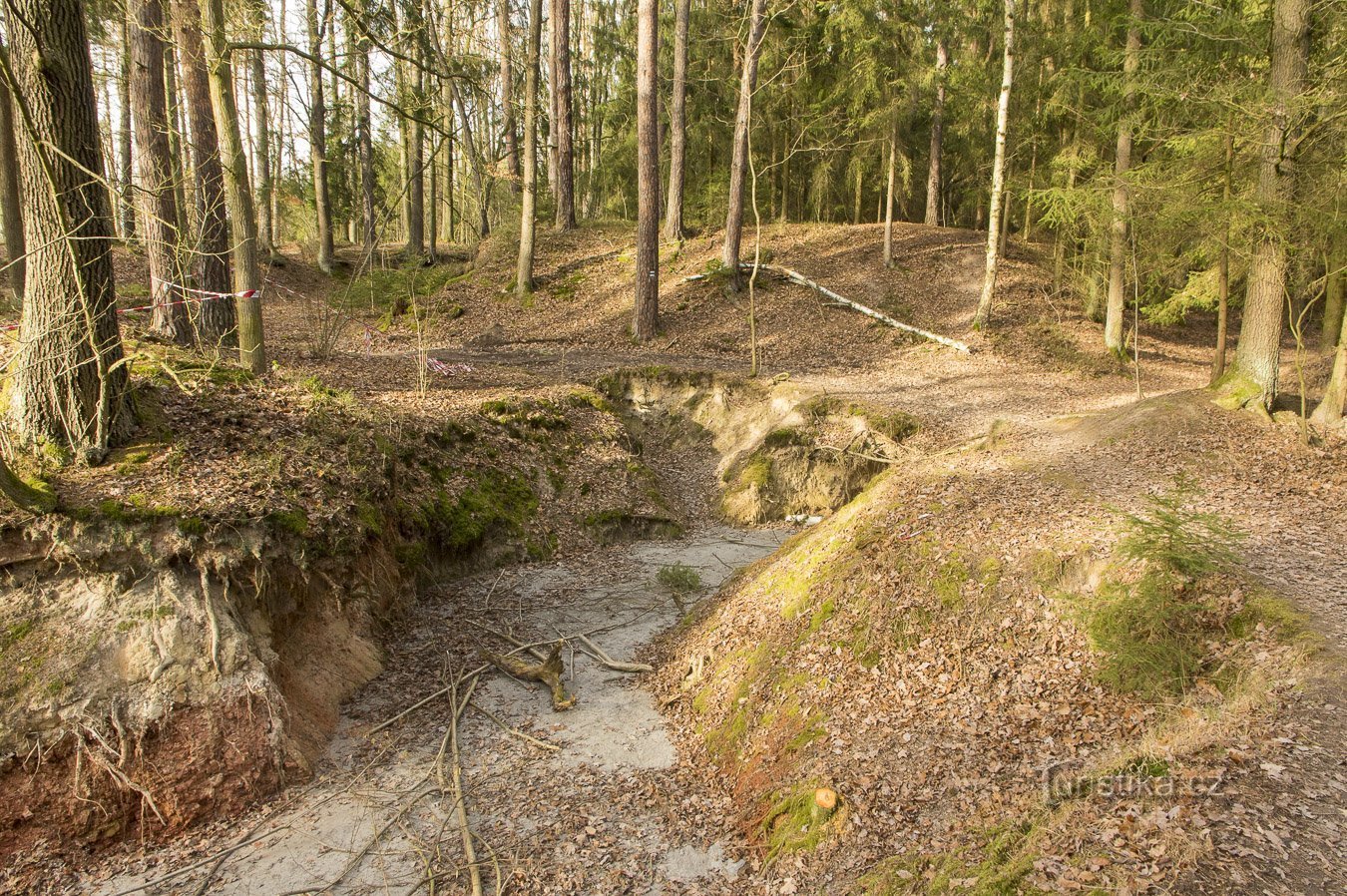 Borek cerca de České Budějovice - Orty