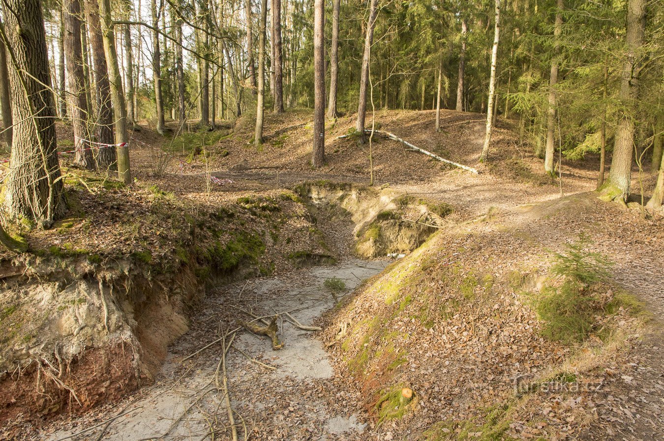 Borek koło Czeskich Budziejowic - Orty