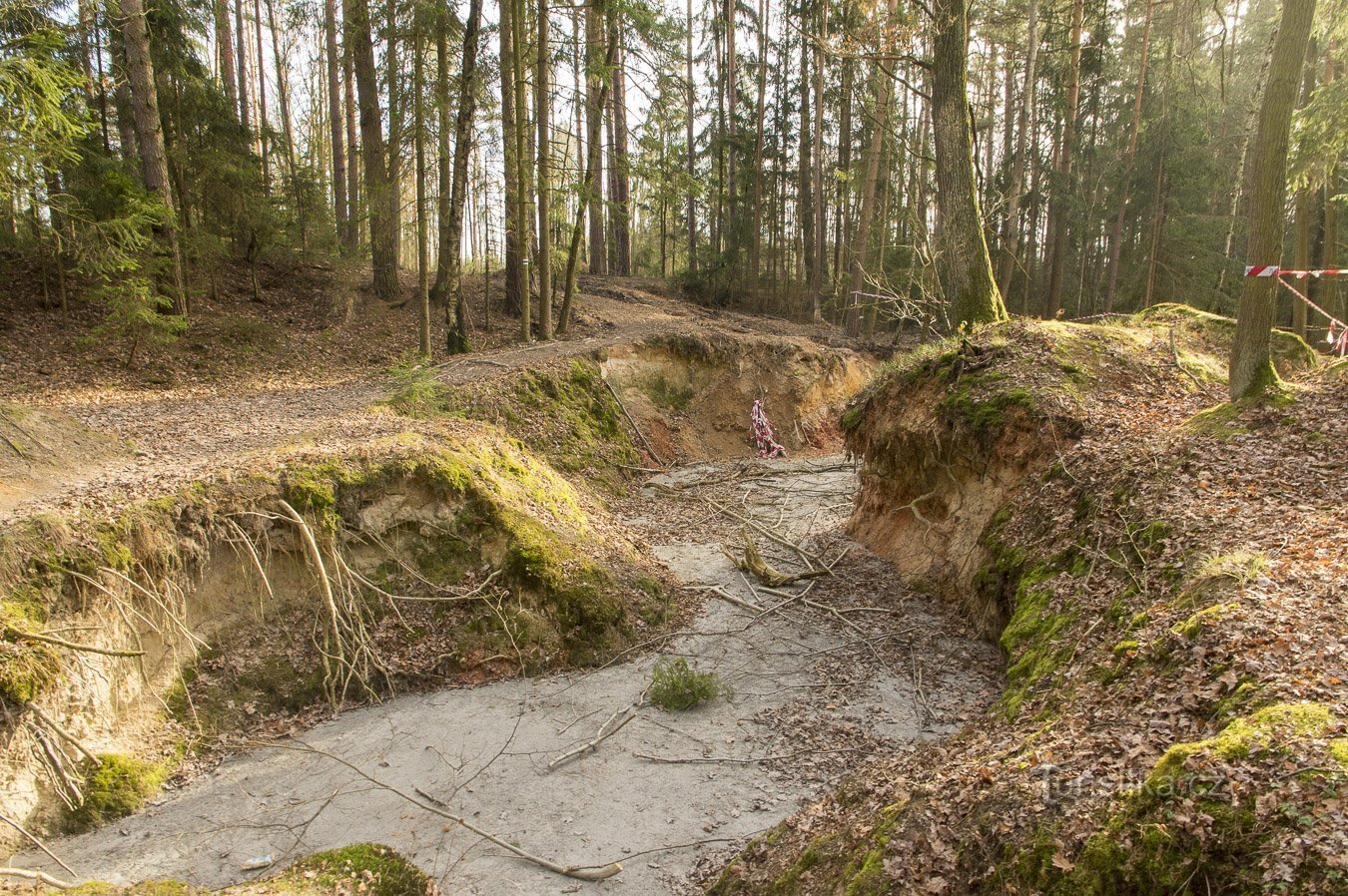 Borek koło Czeskich Budziejowic - Orty