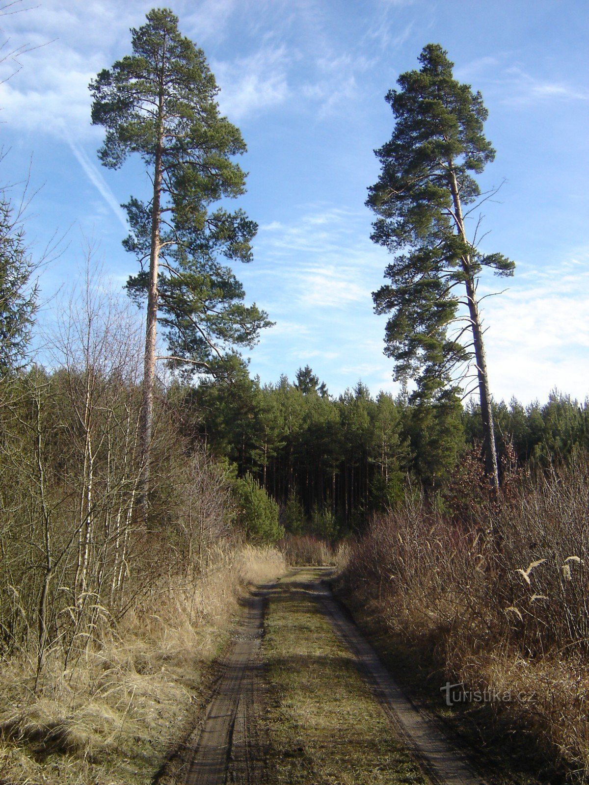 Borkovice-Schlamm