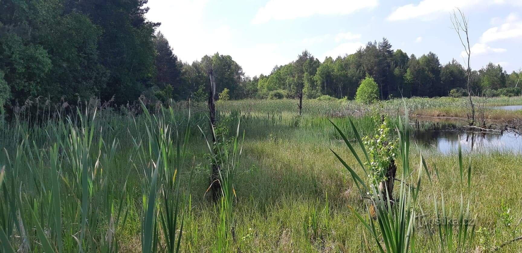 Borkovice-Schlamm