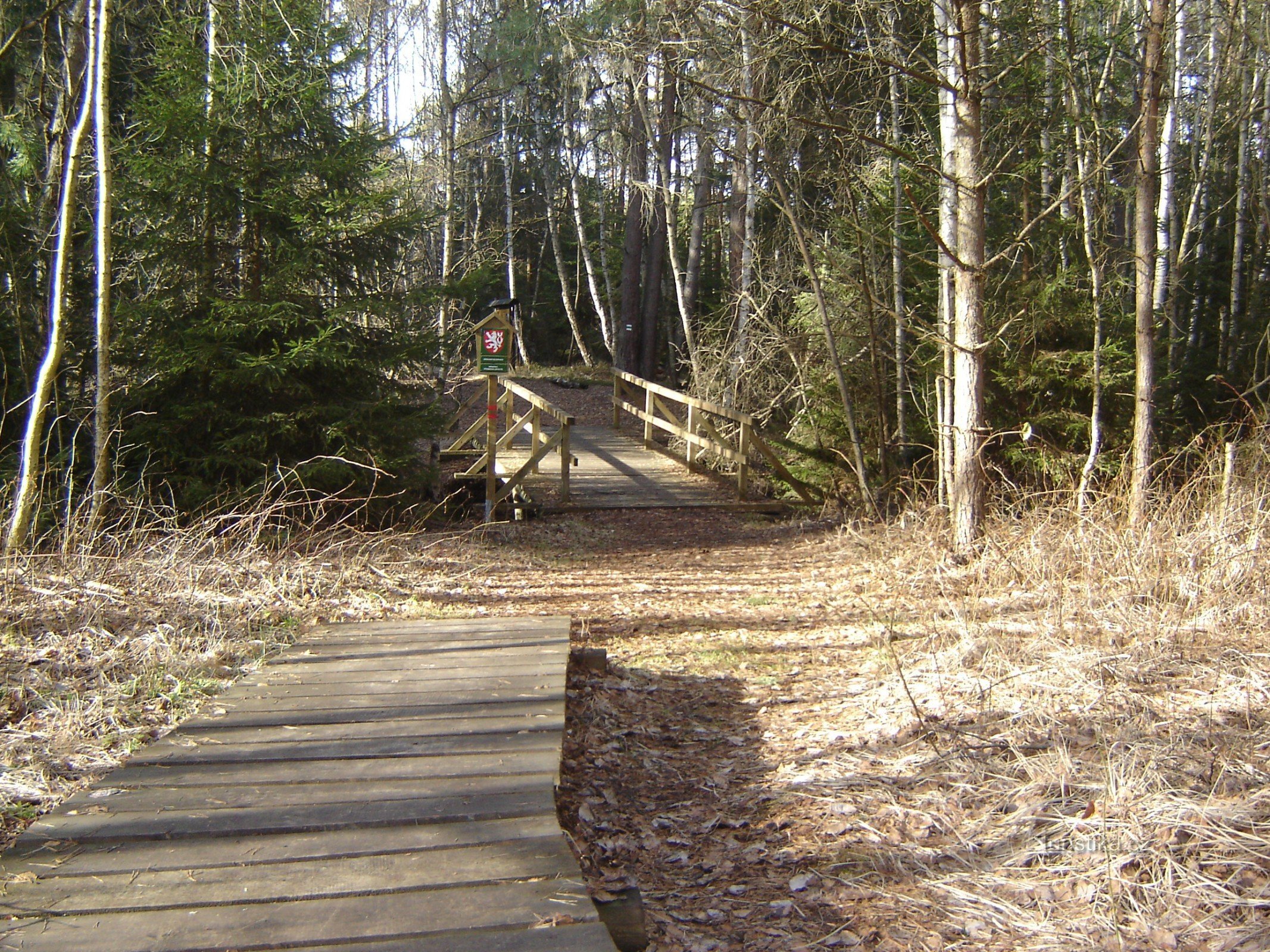 Borkovická blata - passerelle sottotetto